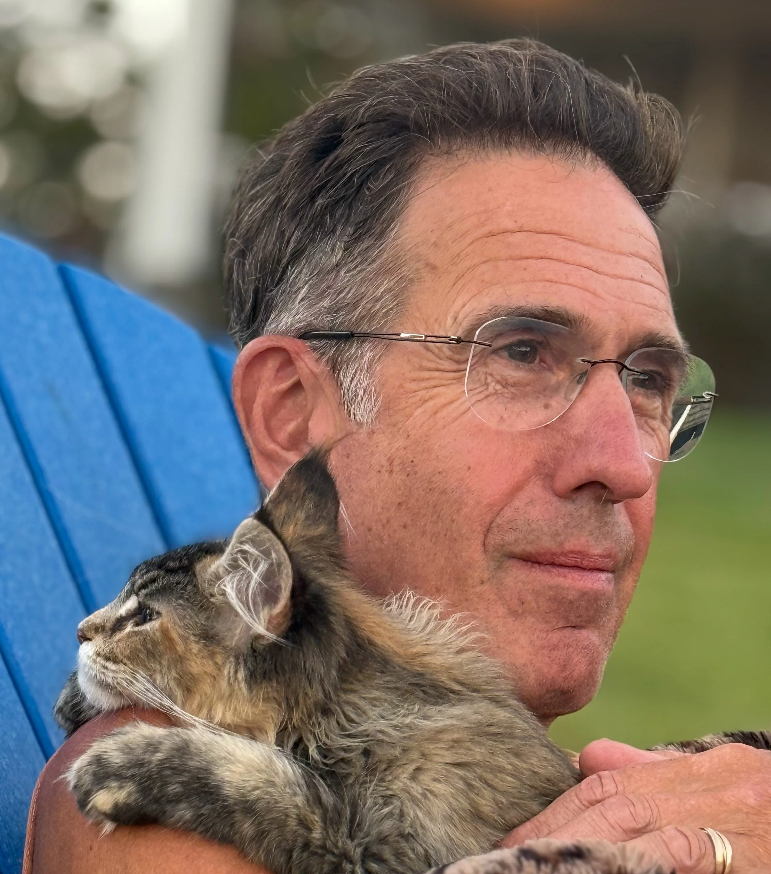 A man with glasses holding a tabby Maine Coon kitten - Mainecoon Gods LLC