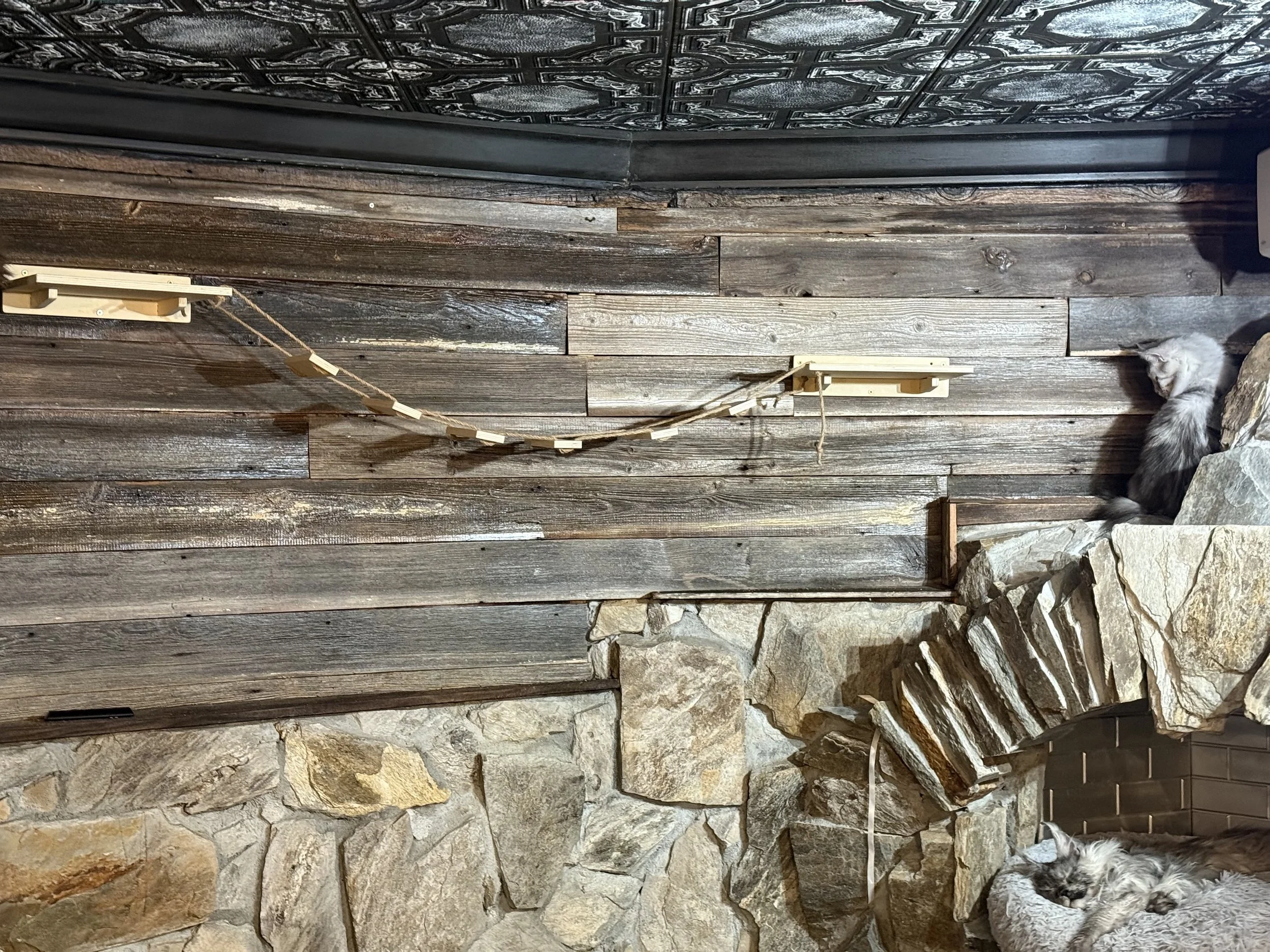 Two Maine Coon cats in a cozy corner next to a stone fireplace, with a wooden wall and a rock decoration. One cat is sitting on a rock, and the other is lying in a bed - Mainecoon Gods LLC