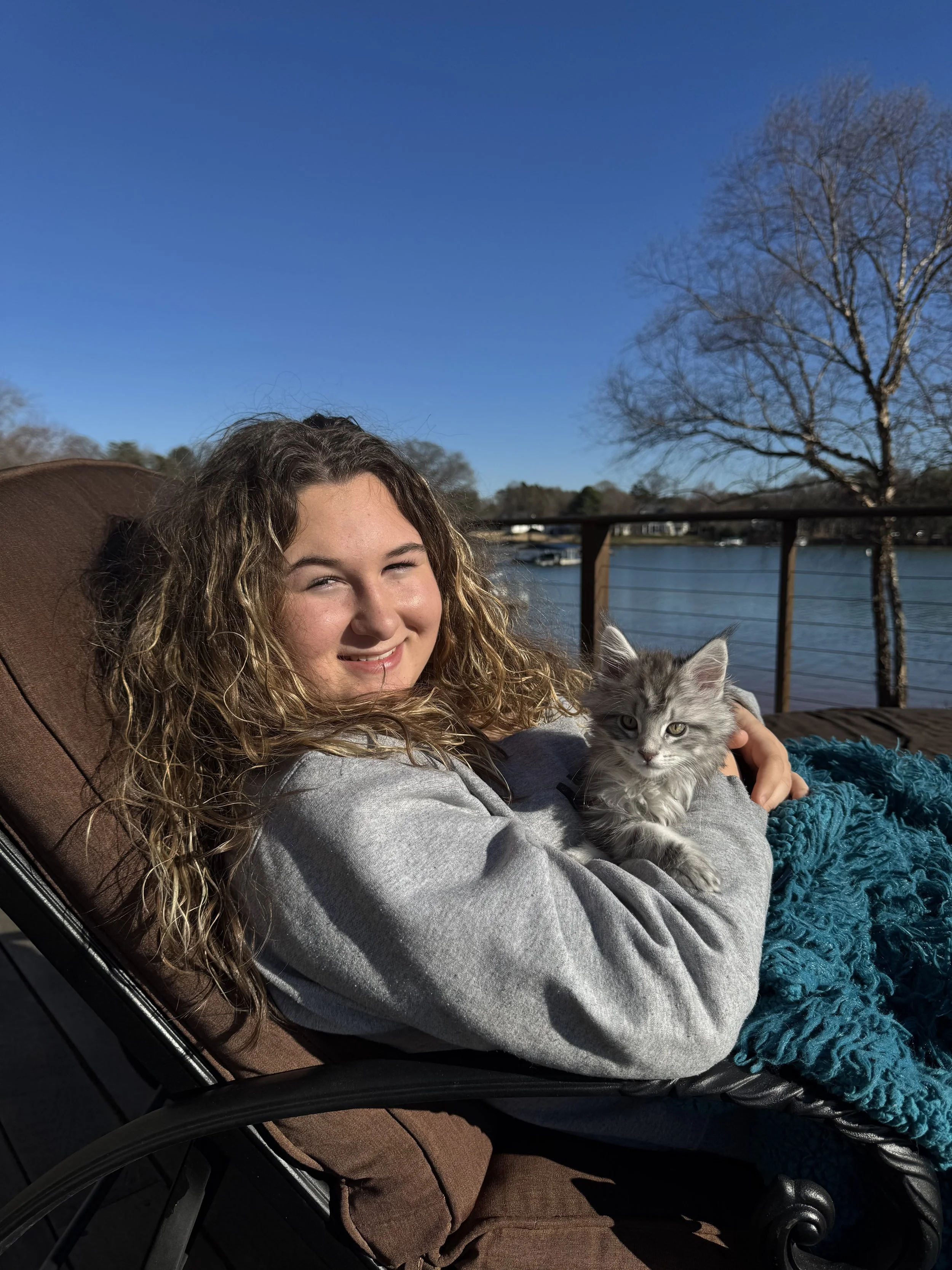 A woman with curly hair relaxing outdoors on a brown lounge chair, holding a gray Maine Coon kitten, with a background of a lake, trees, and a clear blue sky - Mainecoon Gods LLC