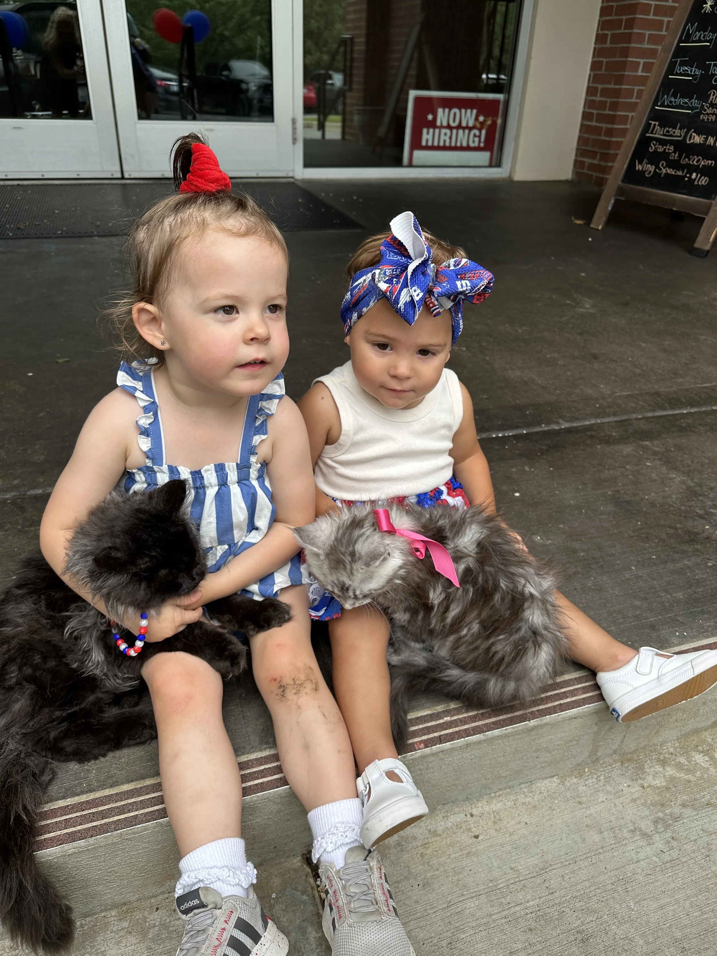 Two young girls sitting on a sidewalk outside a building, each holding a fluffy cat with bows. One girl has curly hair with a red hair accessory, and the other has a headscarf. Both children are wearing summer dresses and sneakers.