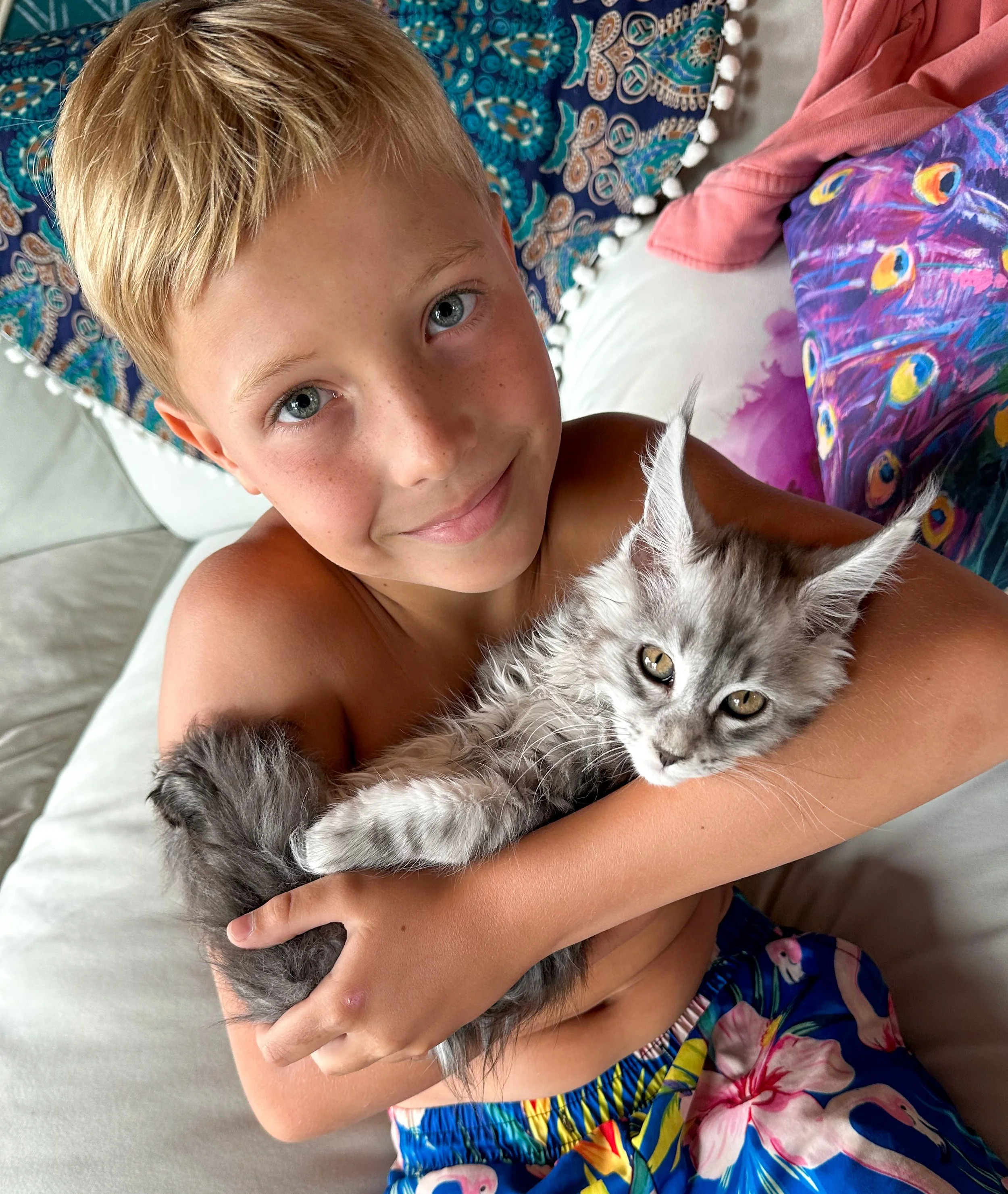 A young boy with blonde hair and blue eyes is smiling and holding a gray and white kitten in his arms. The boy is shirtless and wearing colorful shorts with a floral pattern. They are sitting on a bed or couch with decorative pillows in the backgroun
