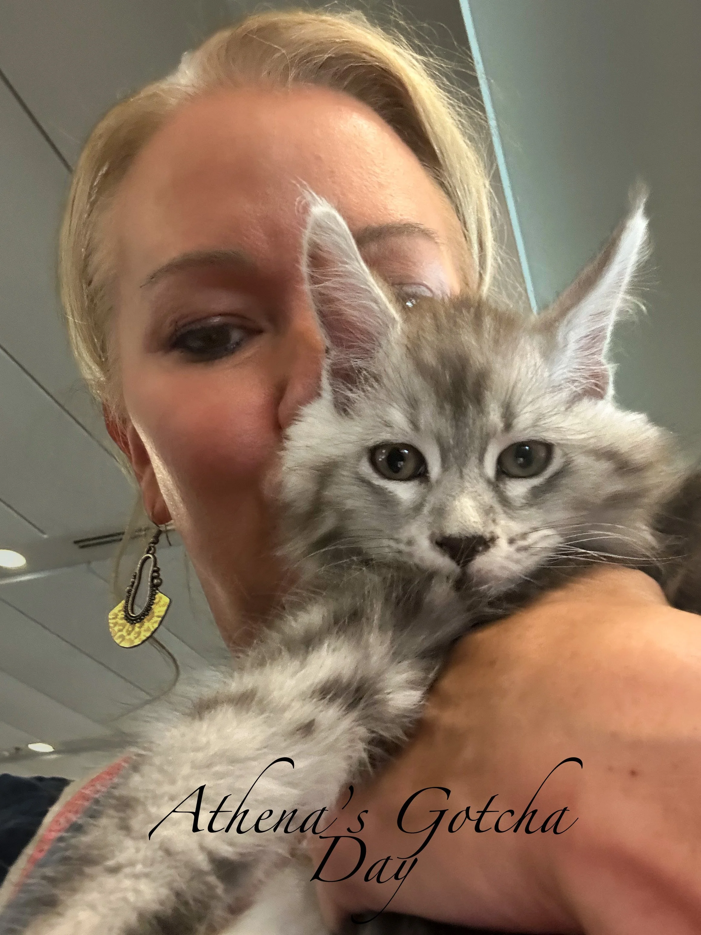 A woman with blonde hair holding a gray and white kitten close to her face. The kitten has large ears and piercing eyes, and the woman is wearing earrings and makeup. The text 'Athena's Gotcha Day' is written on the image.