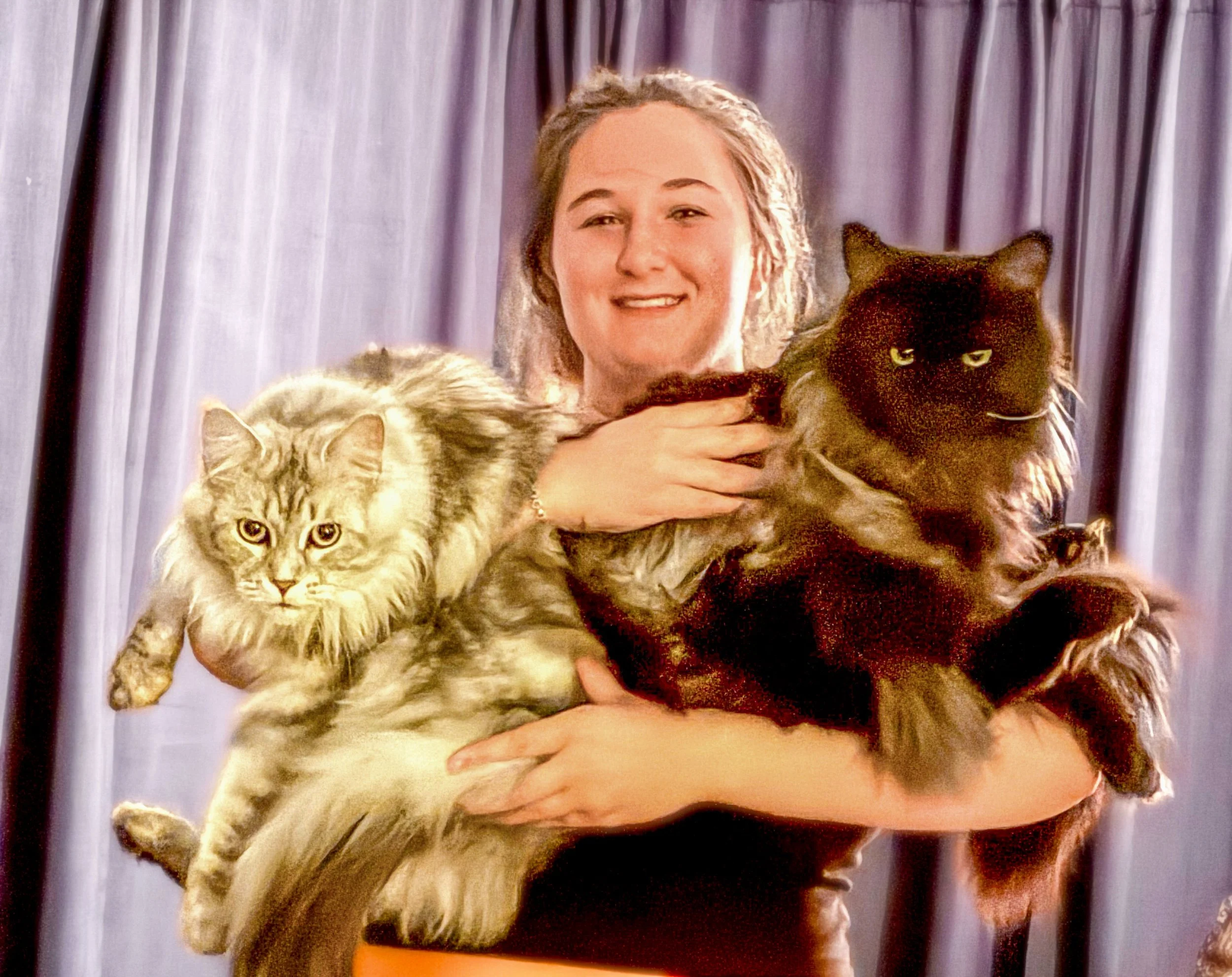 A woman smiling and holding two large Maine Coon cats, one on each arm, against a purple curtain background - Mainecoon Gods LLC