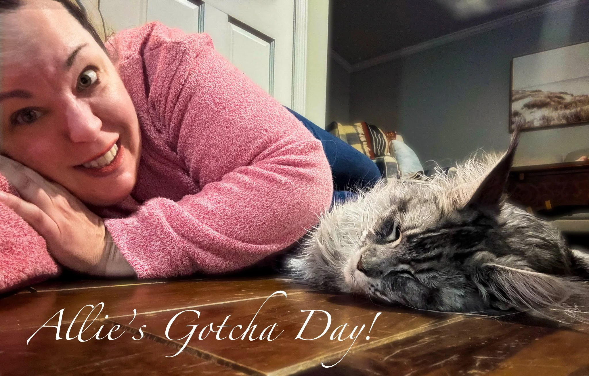 A woman with a pink sweater lying on her side on the floor next to a sleeping gray tabby cat, with the caption 'Allie's Gotcha Day!'
