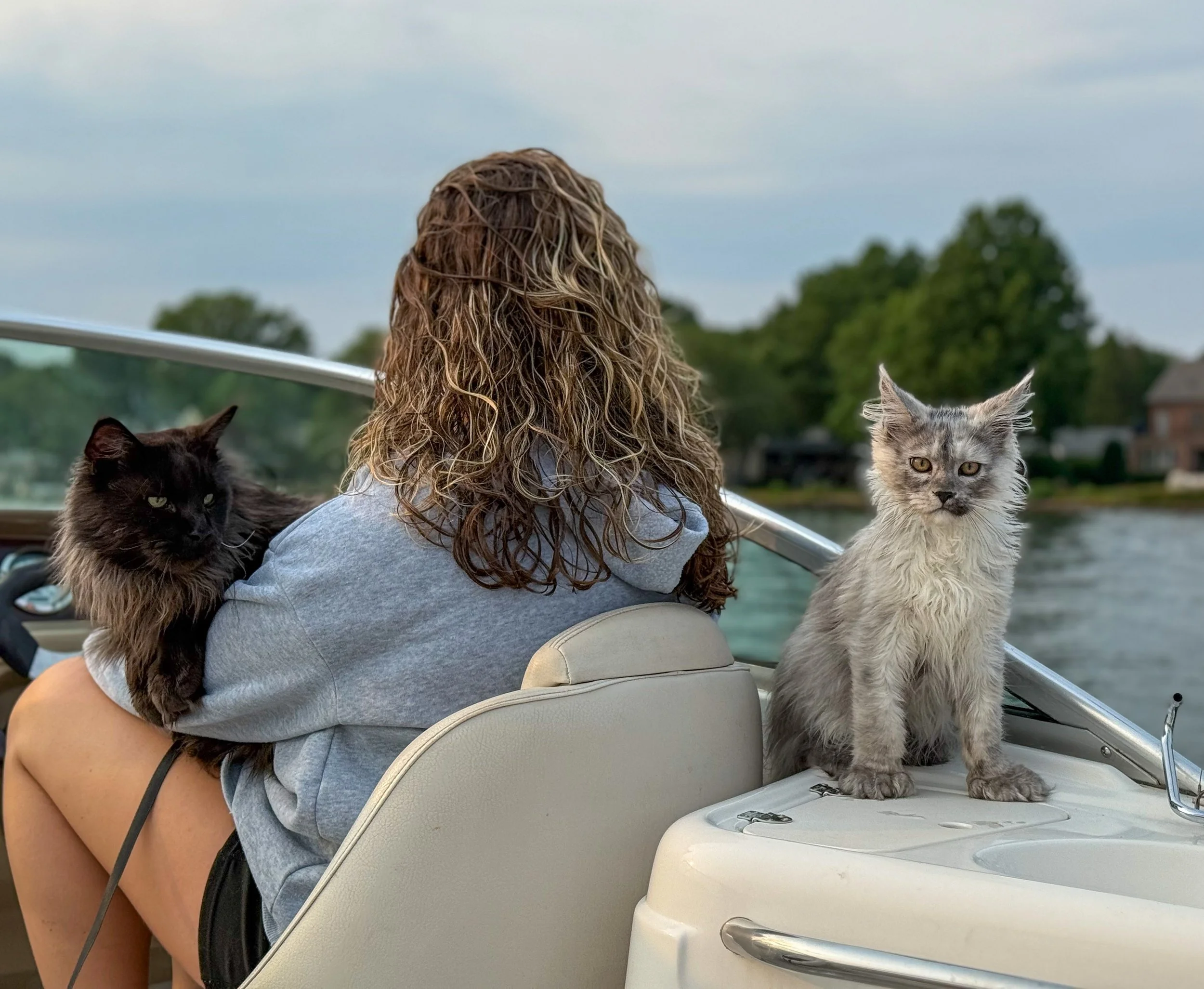 A woman with curly hair sitting on a boat with two Maine Coon cats, one black and one gray, during a cloudy day on a river with trees and houses in the background - Mainecoon Gods LLC Cattery