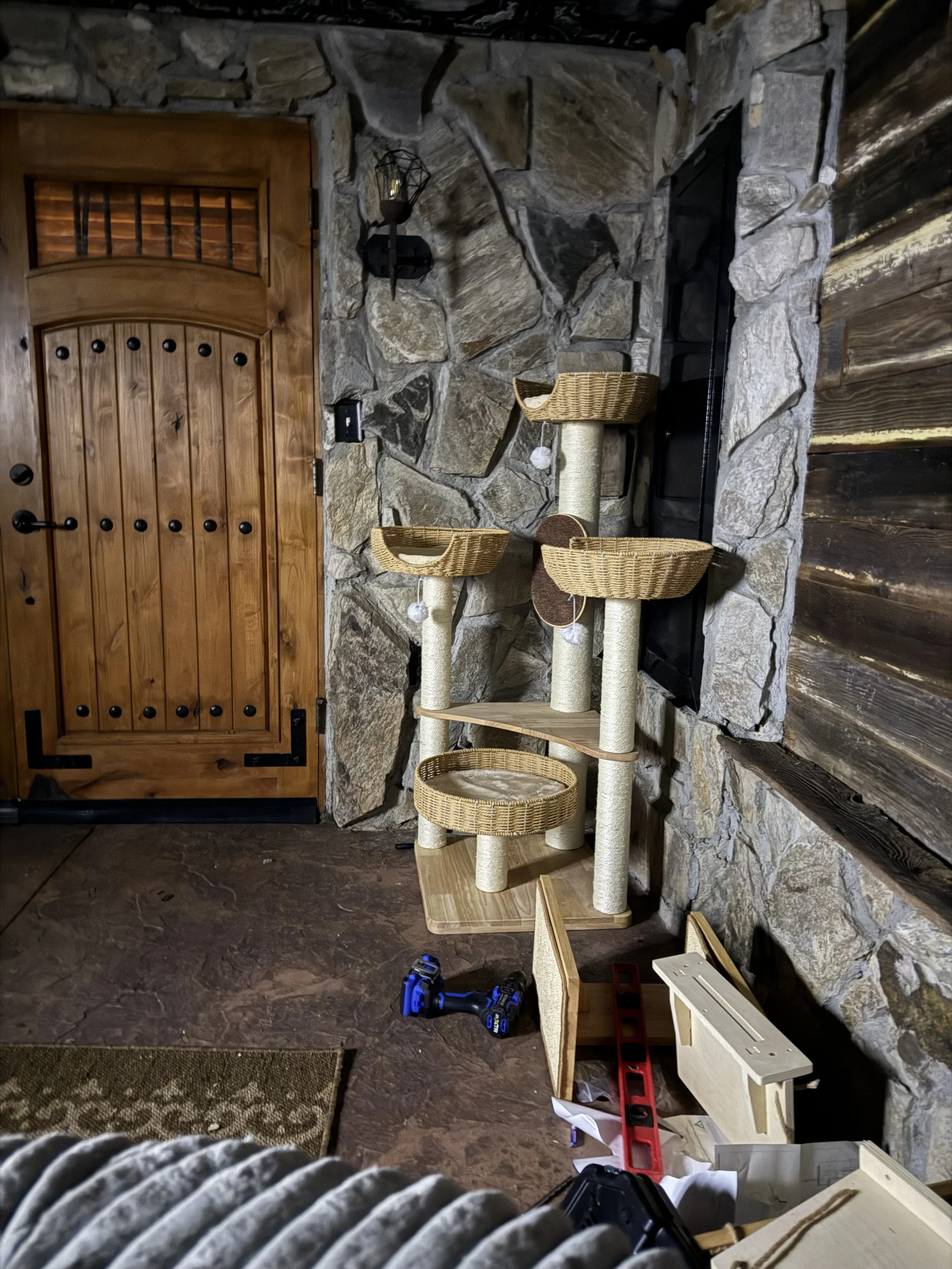 A corner of a rustic room with a wooden door, stone walls, and a multi-level beige and brown cat tree. The MaineCoon Gods LLC cattery where they raise Maine Coon cats