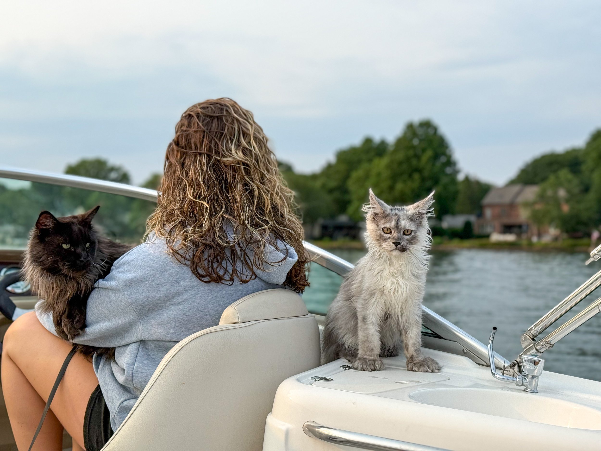A woman with curly hair sitting on a boat with two cats, one black and one gray, with a lake and houses in the background.