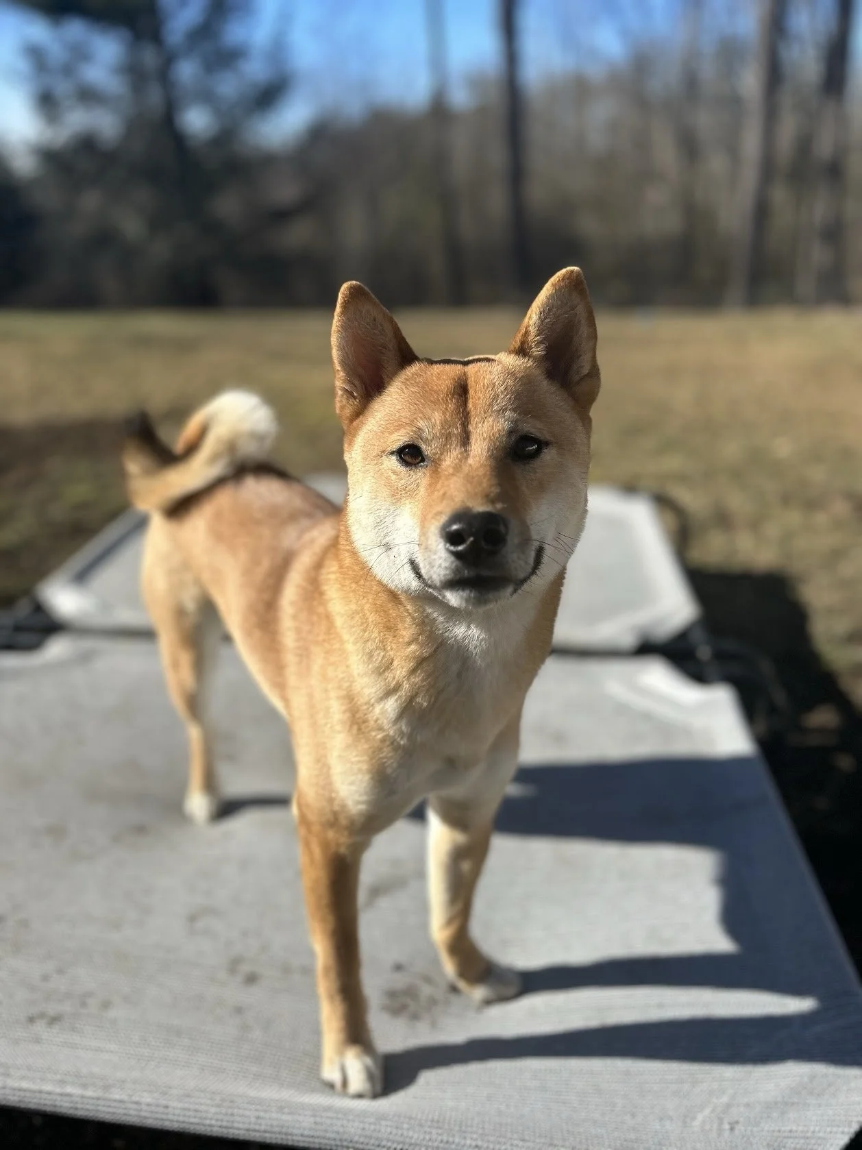 Jake &amp; Sammy’s Story