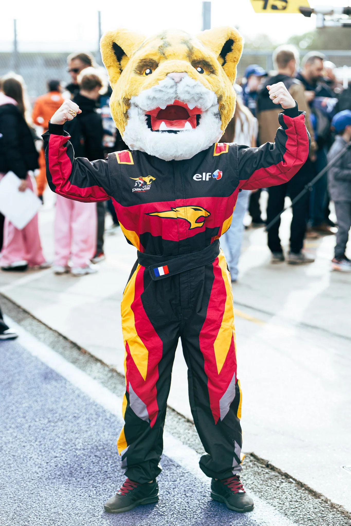 Person dressed in racing suit and a lion mascot head, flexing muscles with arms raised, in a racing environment with a crowd in the background.