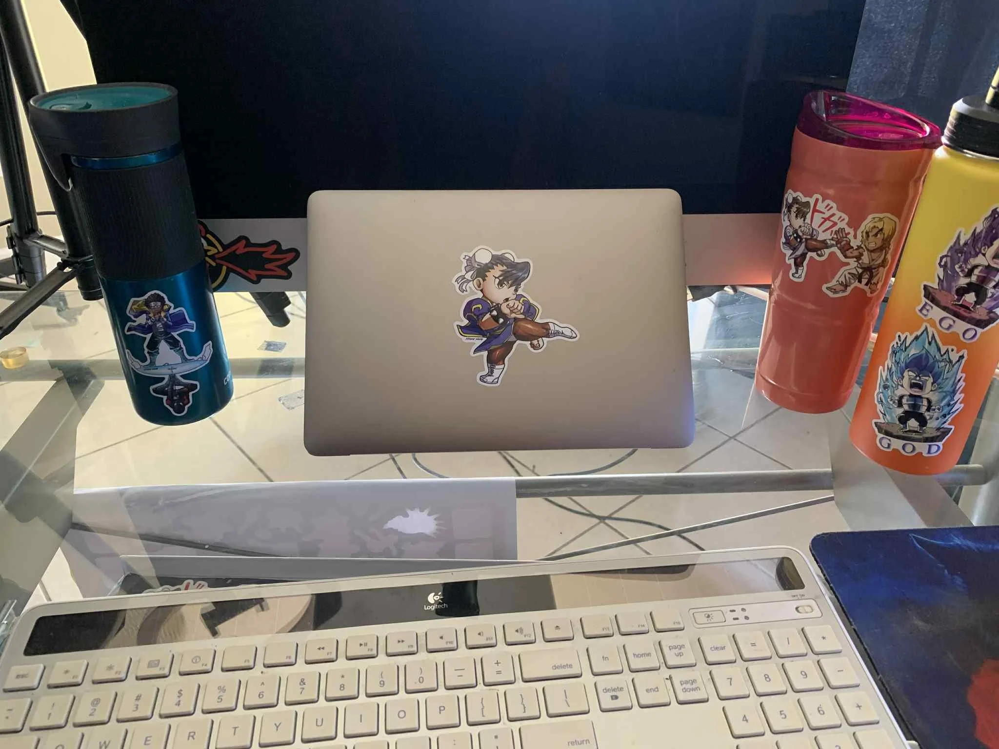 Chun-li laptop.jpeg