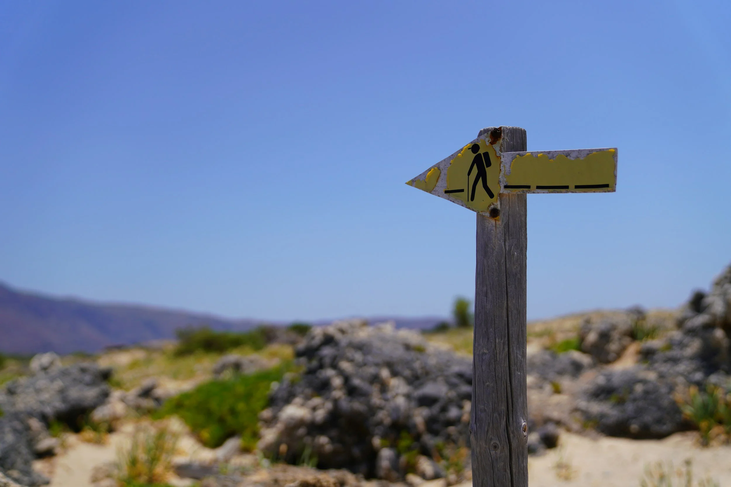 The “Art” of Taking a Break