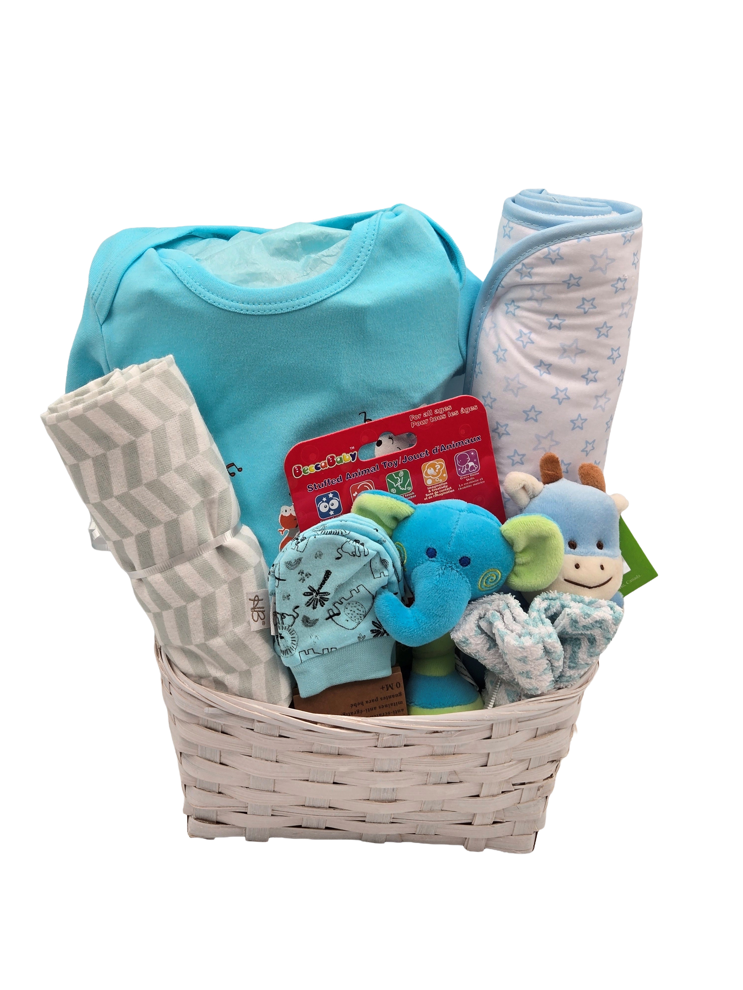 baby boy essentials 2.png