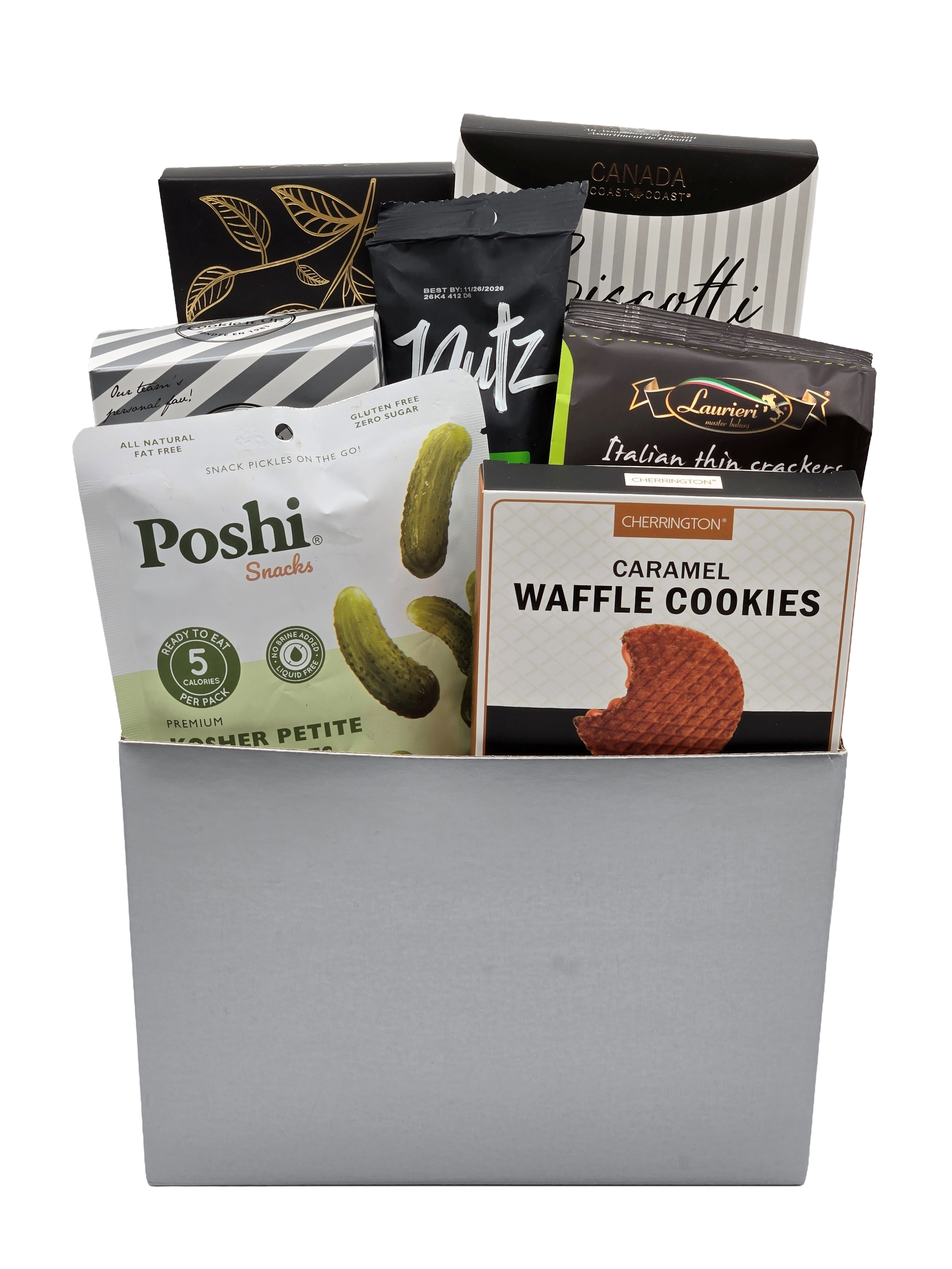 fstival of light.png