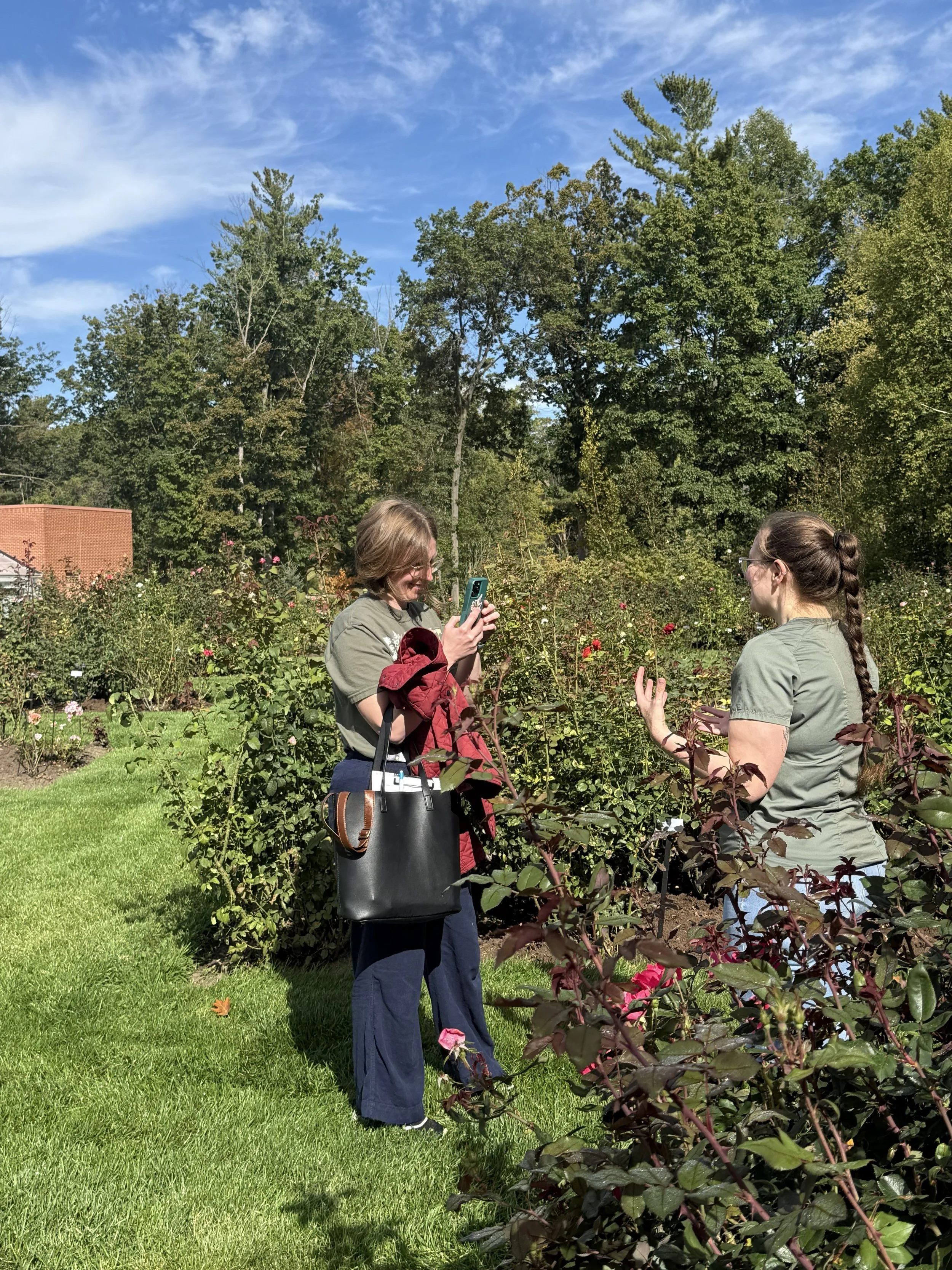 rose garden.jpg