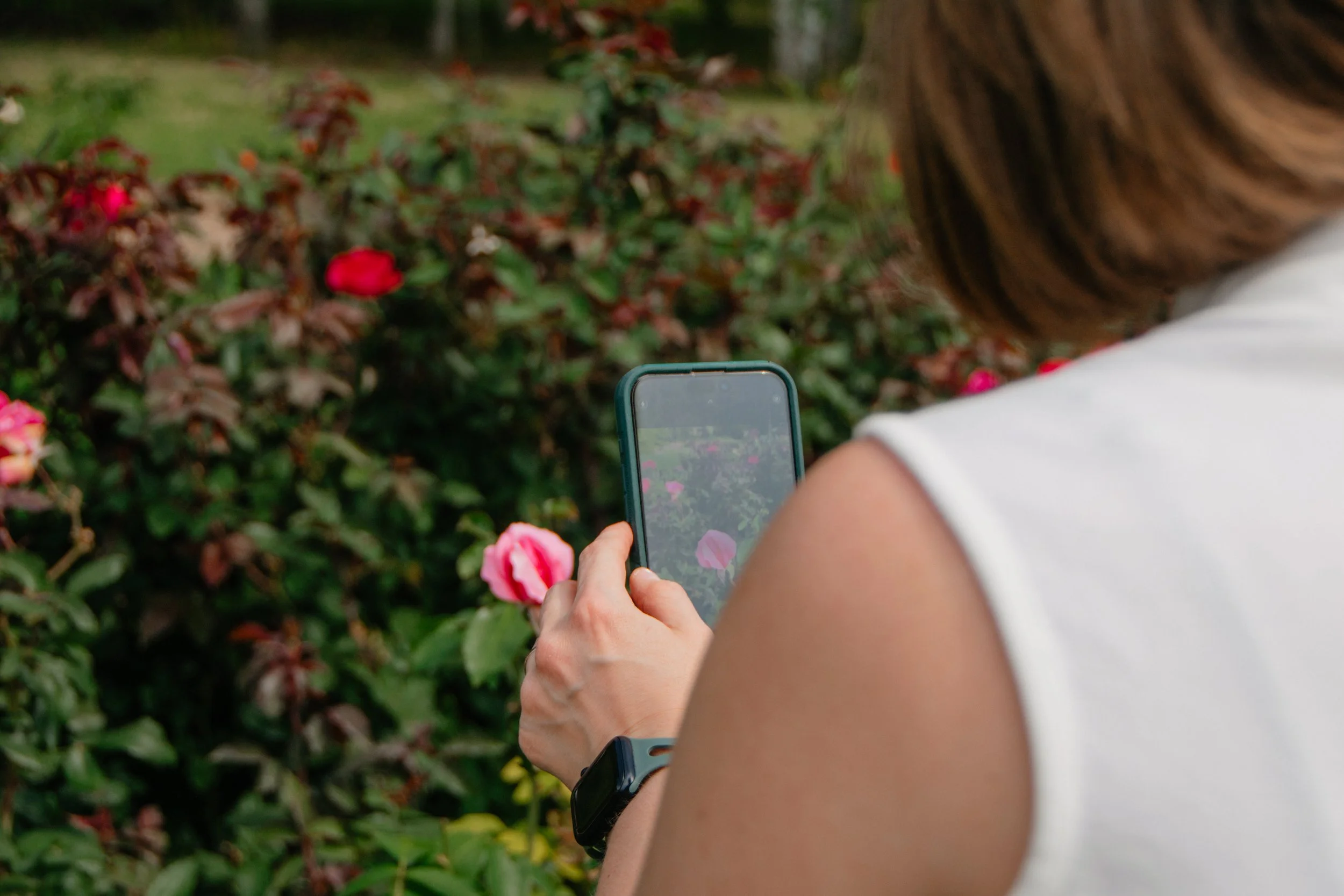 social media marketing manager taking a photo of pink flowers on a bush with a smartphone outdoors in Mid-Michigan.