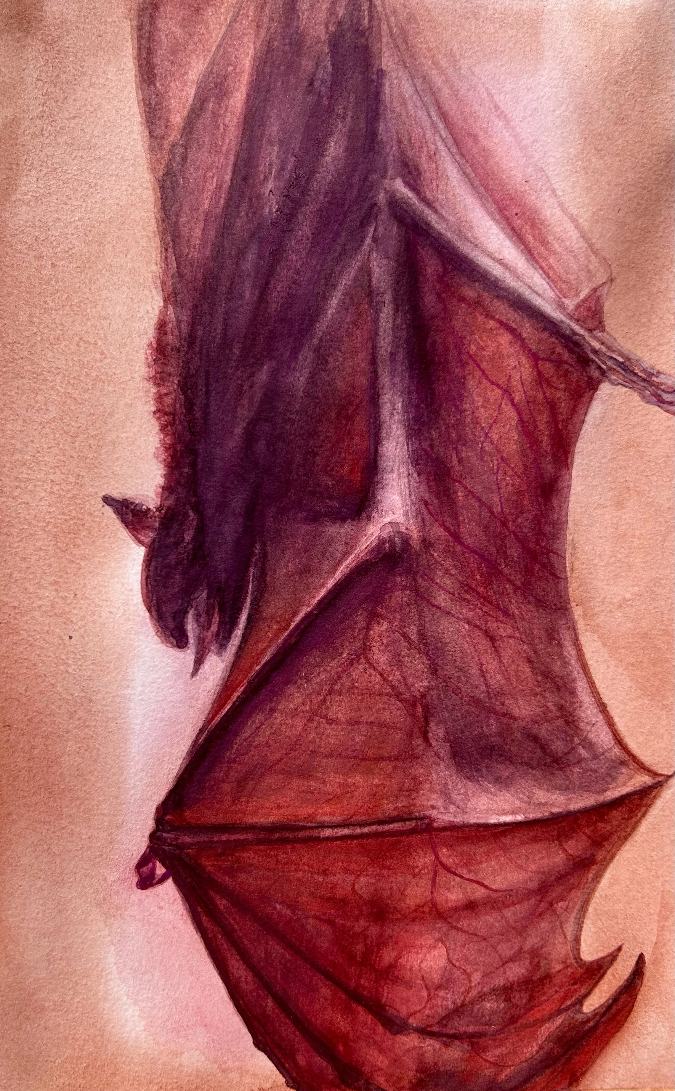 bat wing.jpg