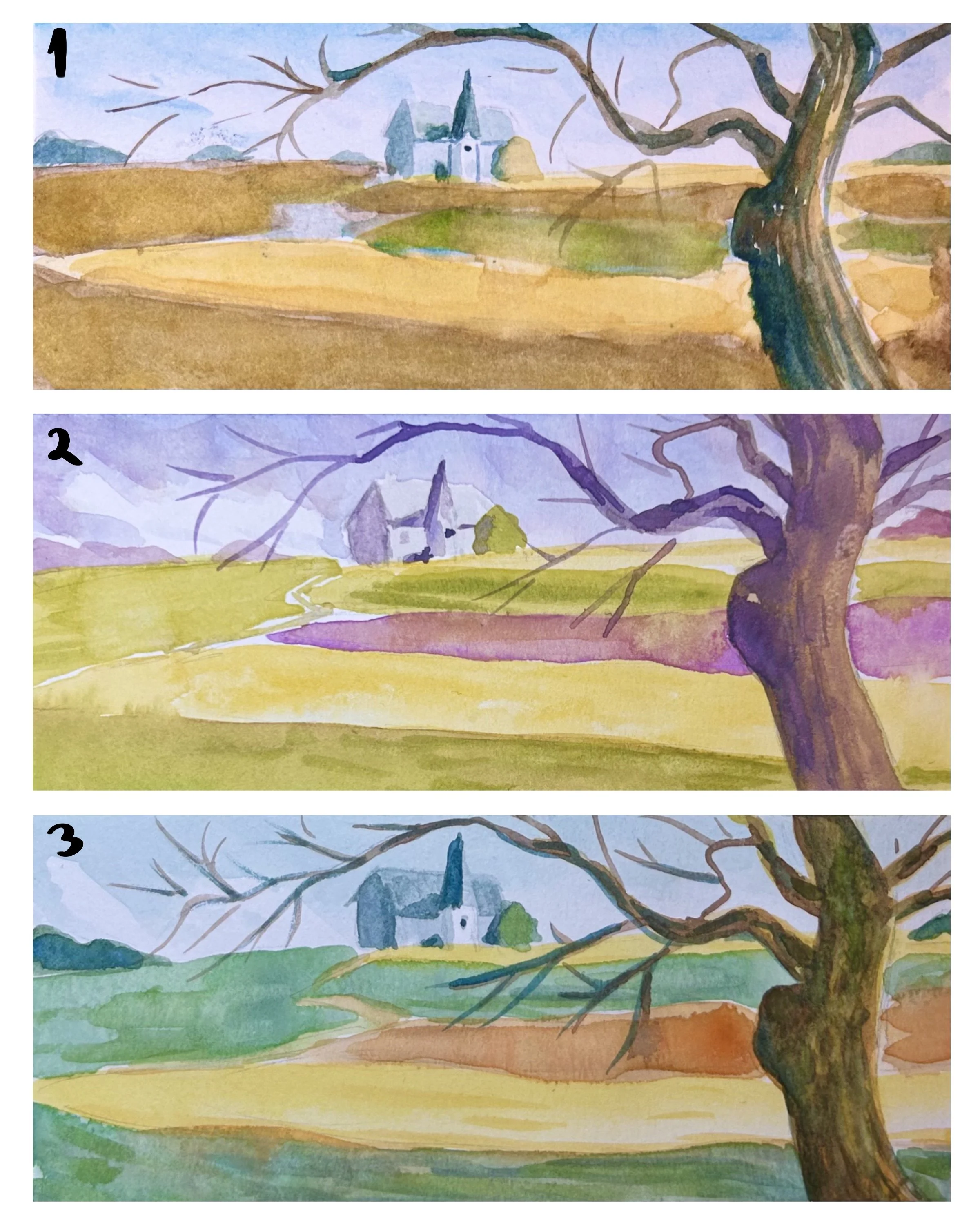 A2 color studies.jpg