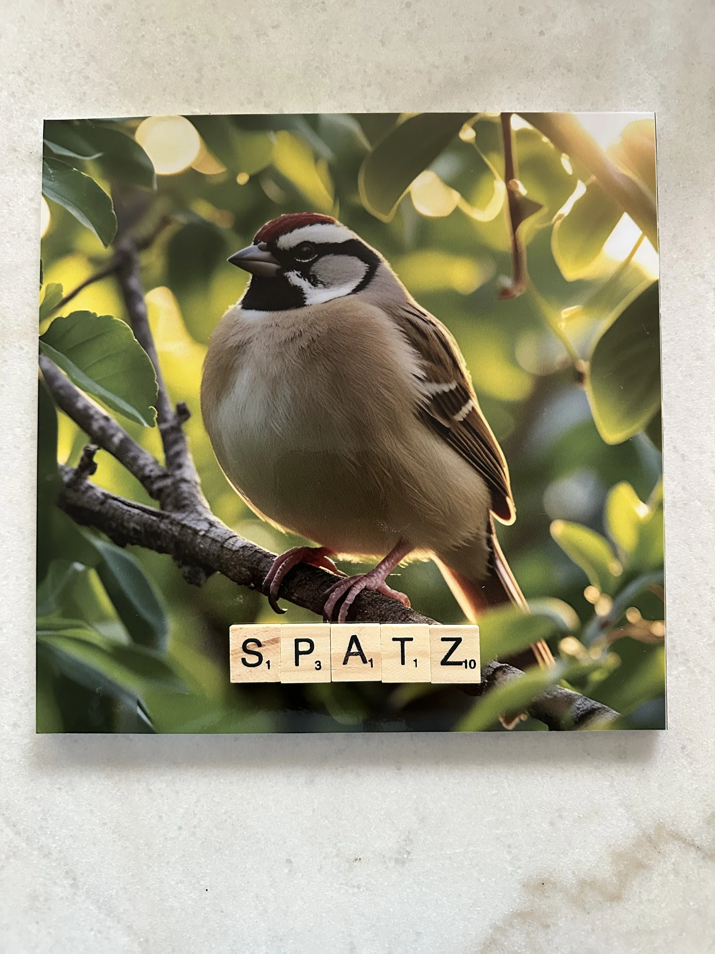 Pixie Prints: Custom Art