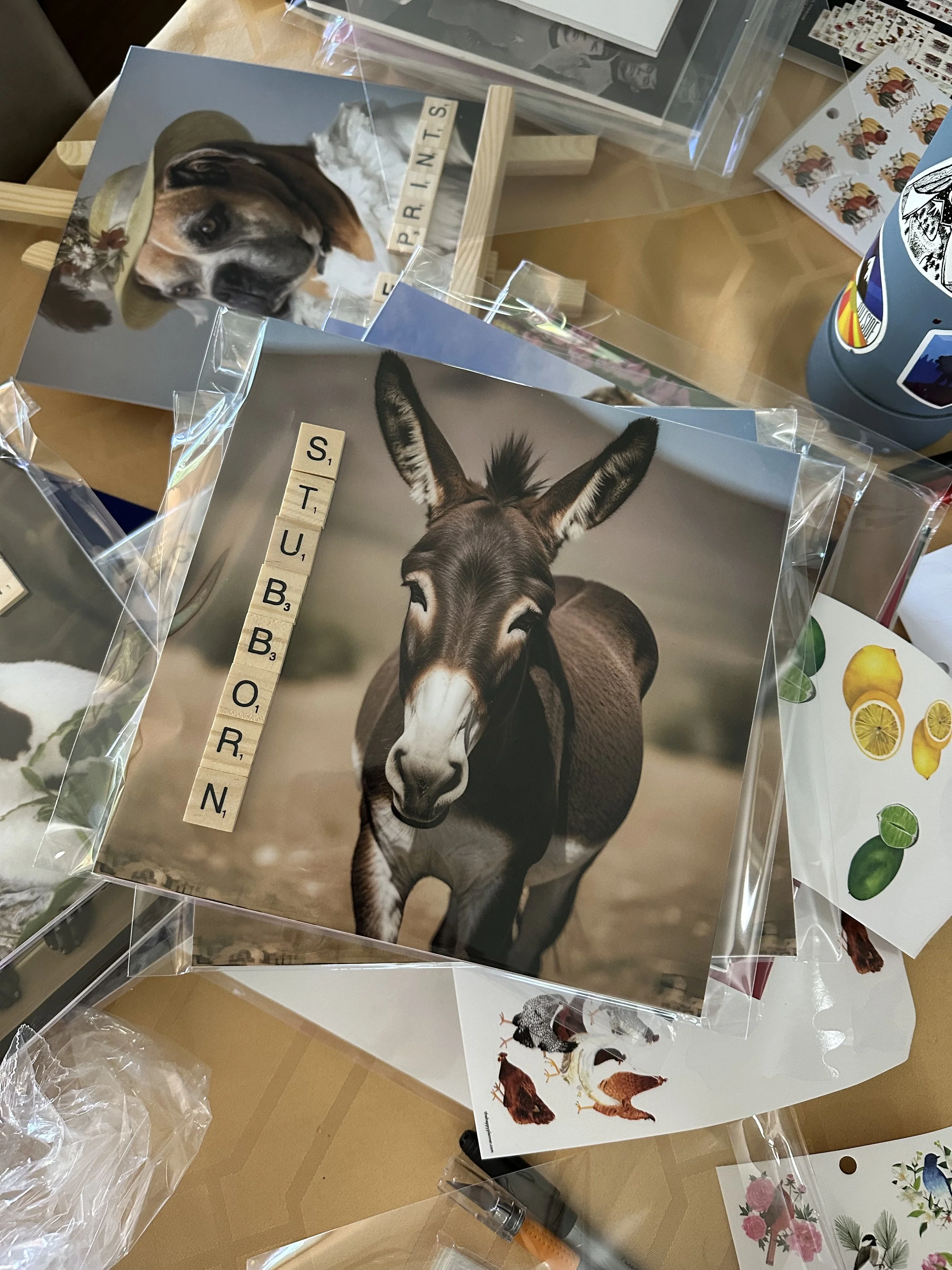 Pixie Prints: Merch (to come)