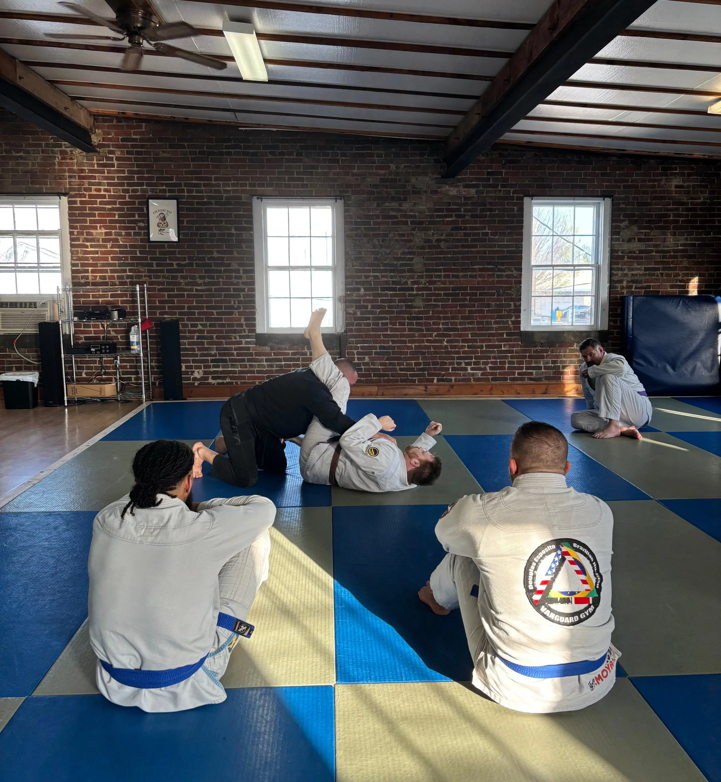 Group of Brazilian Jiu-Jitsu practitioners wearing gis, some with colored belts, posing together in a training facility.