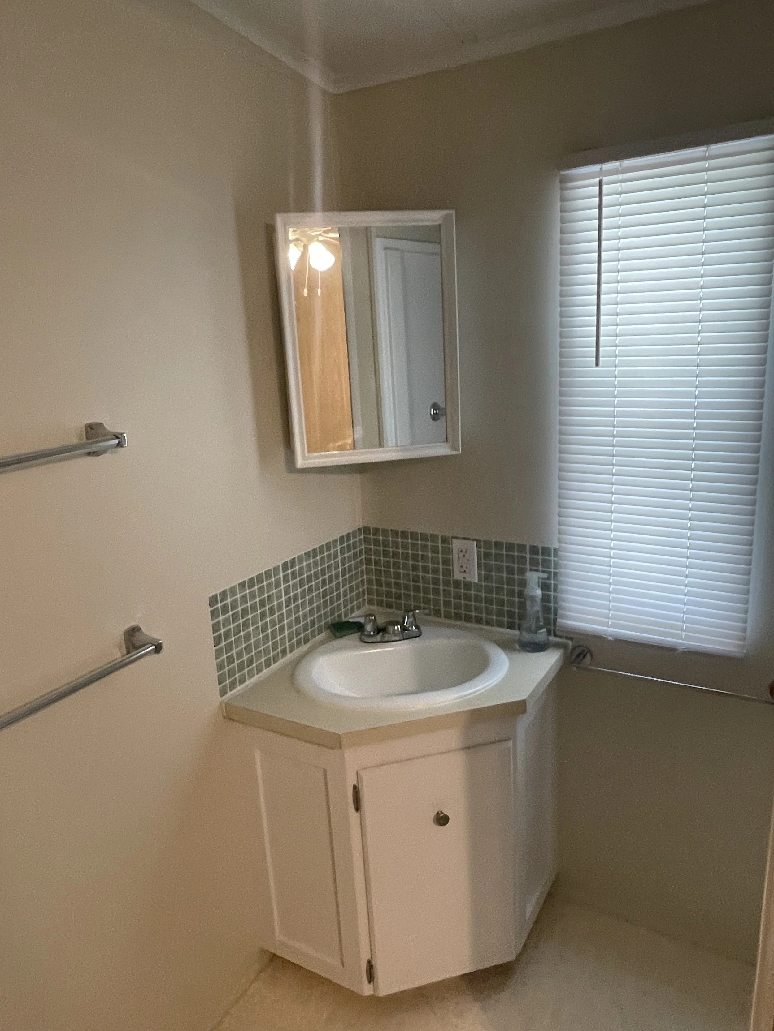 Guest Bath3.jpeg