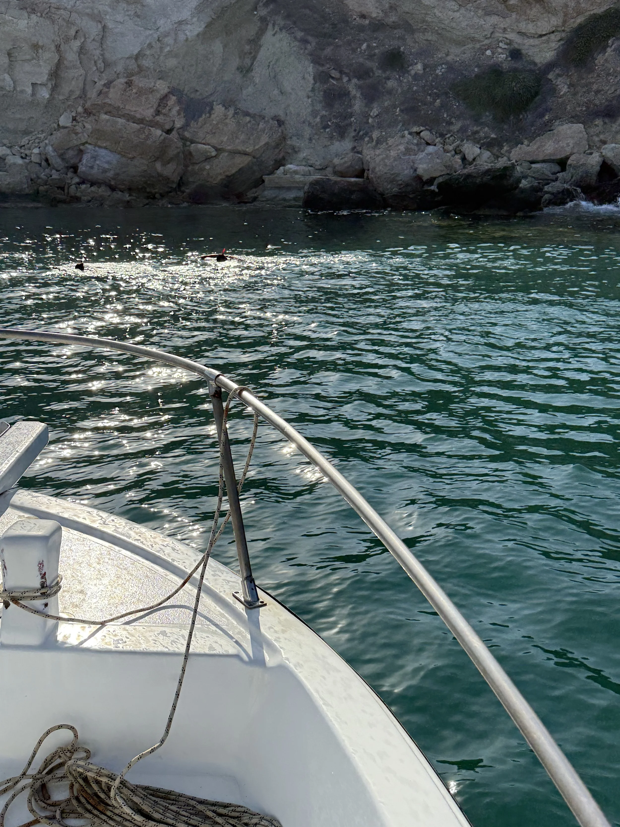 A view from a boat looking at the water and rocky shoreline with large rocks and green vegetation.