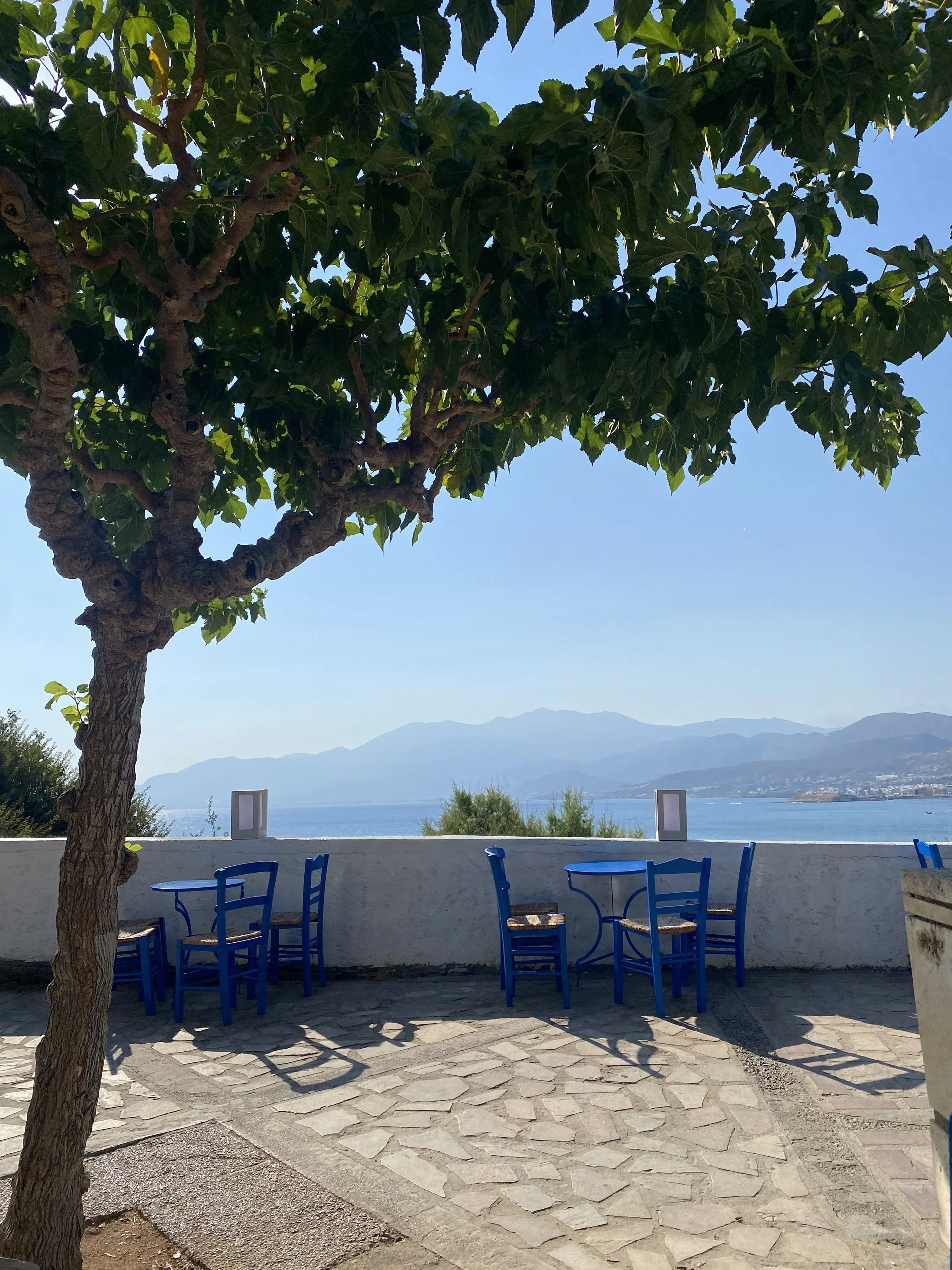 A coastal outdoor seating area with blue chairs along a white wall, overlooking the sea and distant mountains under a clear sky. A large leafy tree provides shade.