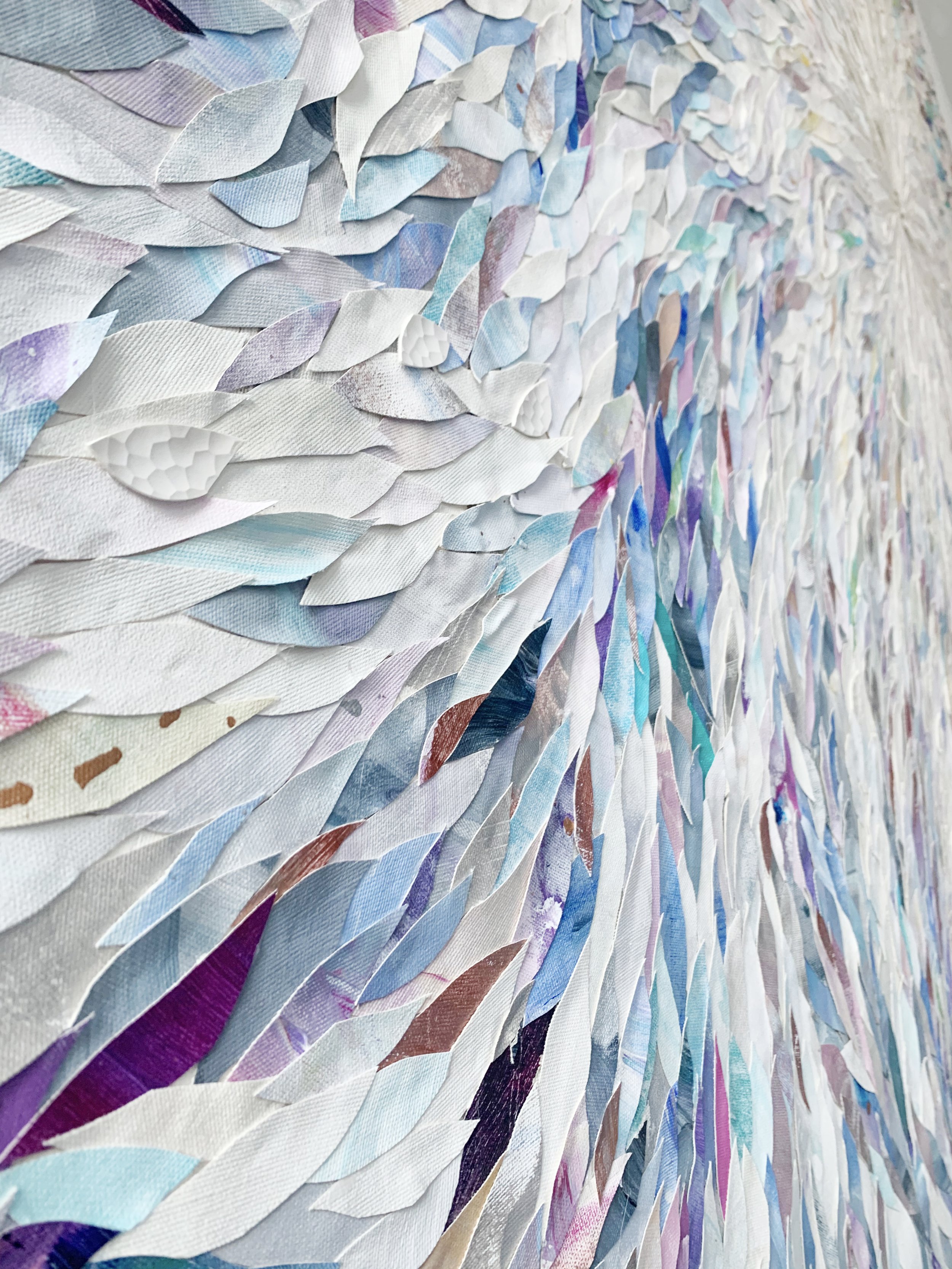 xIMG_7145 better color.jpg