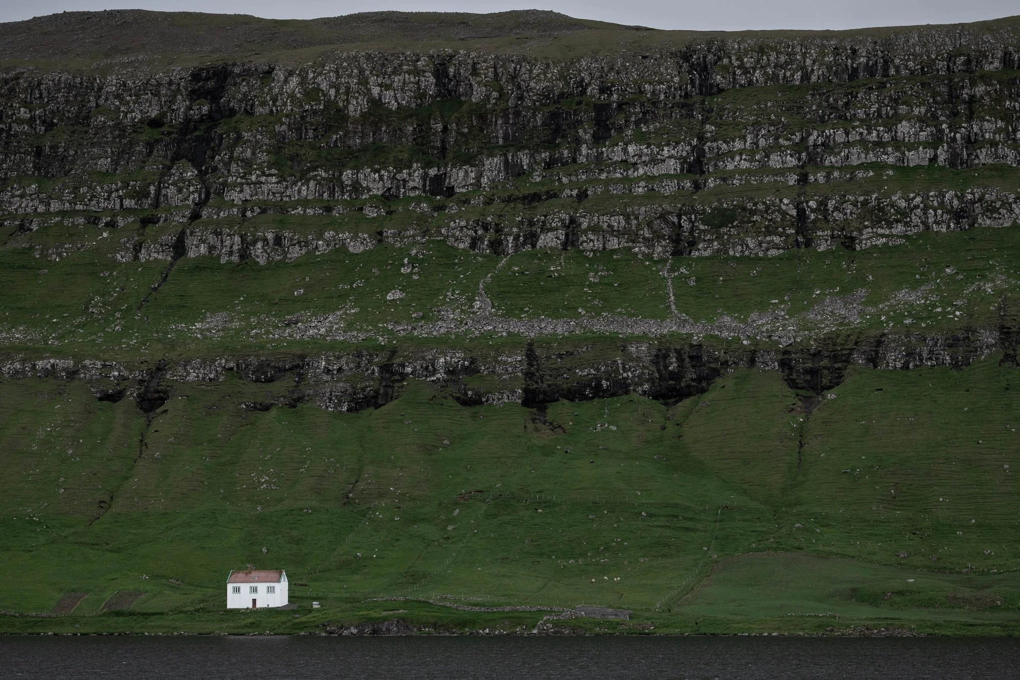 Home, 2024