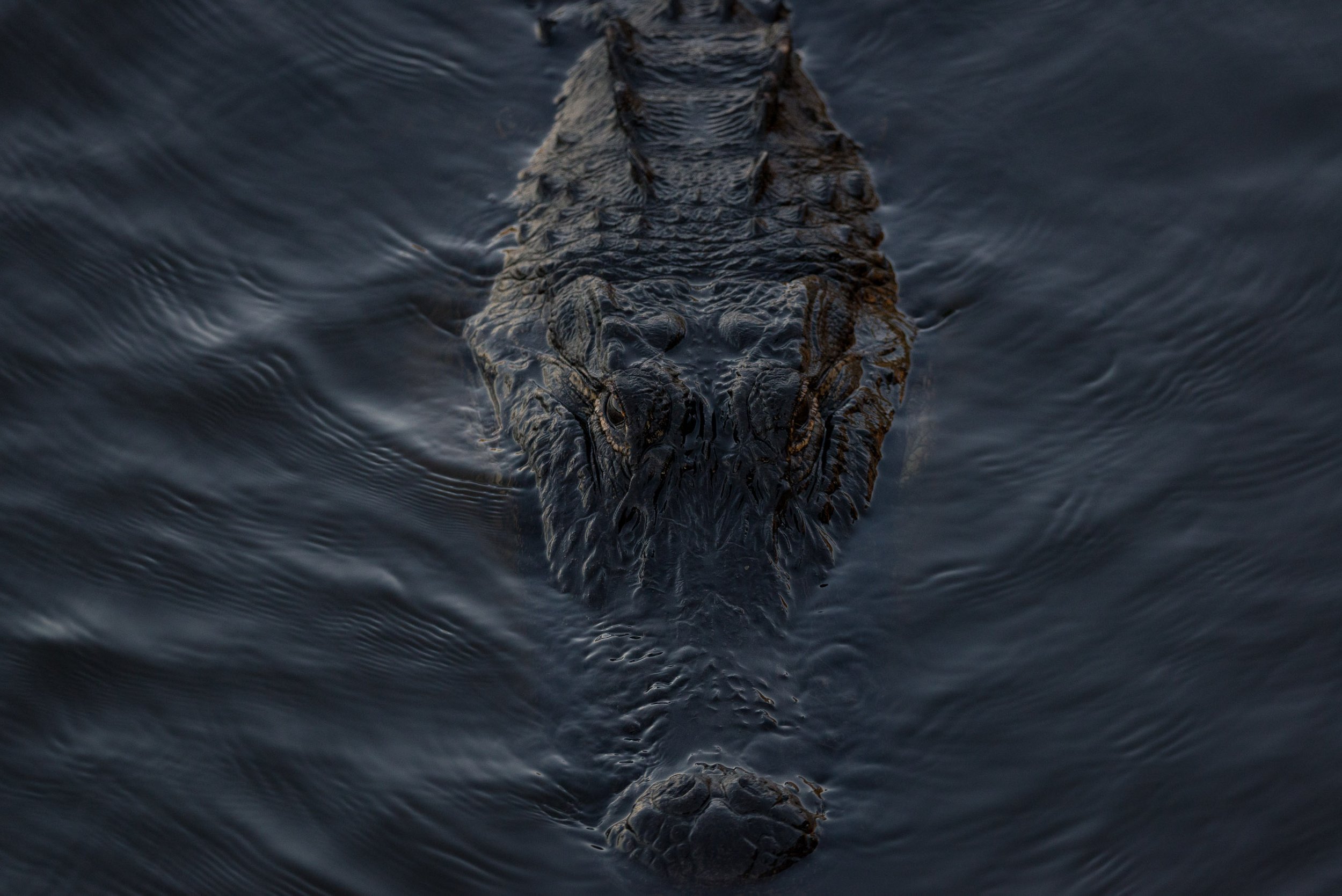 Submerged
