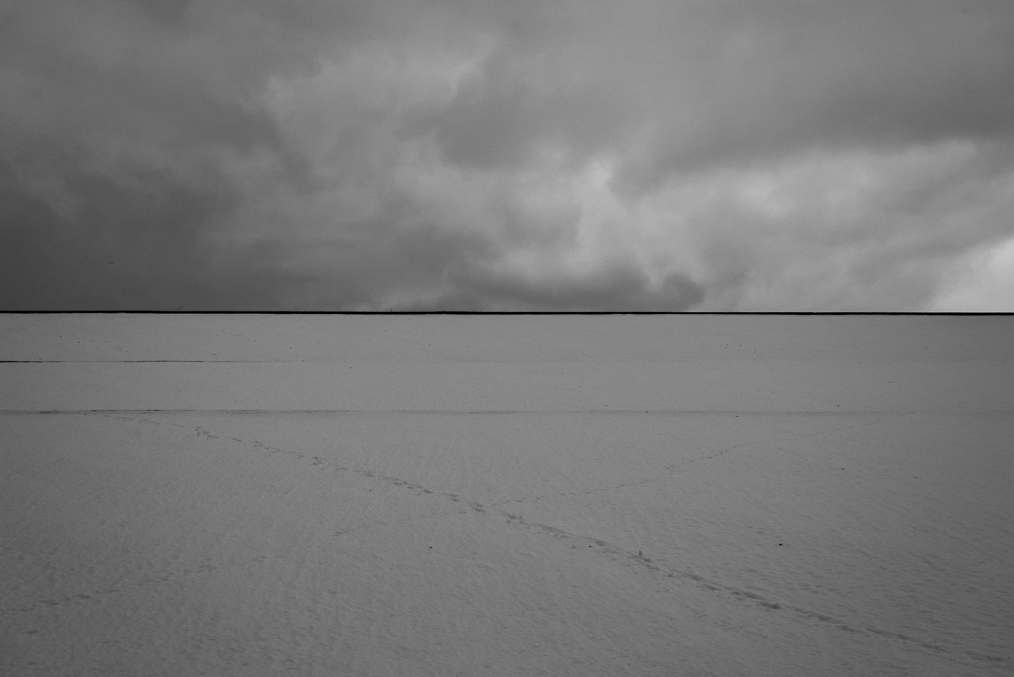 Winter Trace, 2020