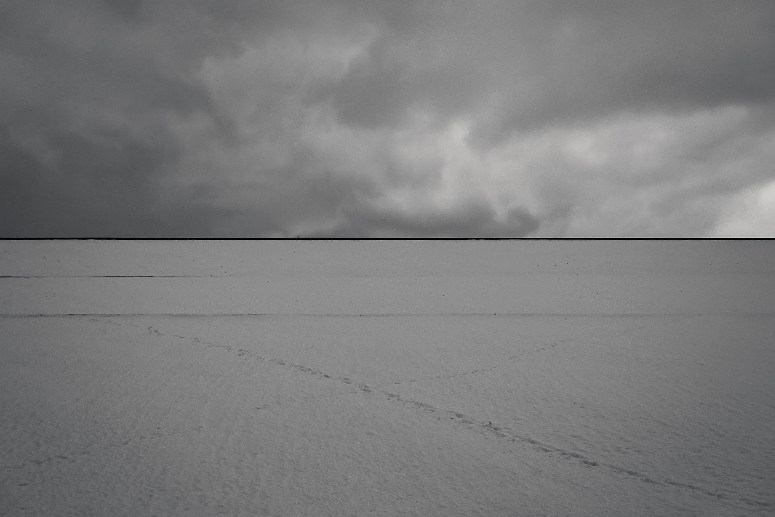 Winter Trace