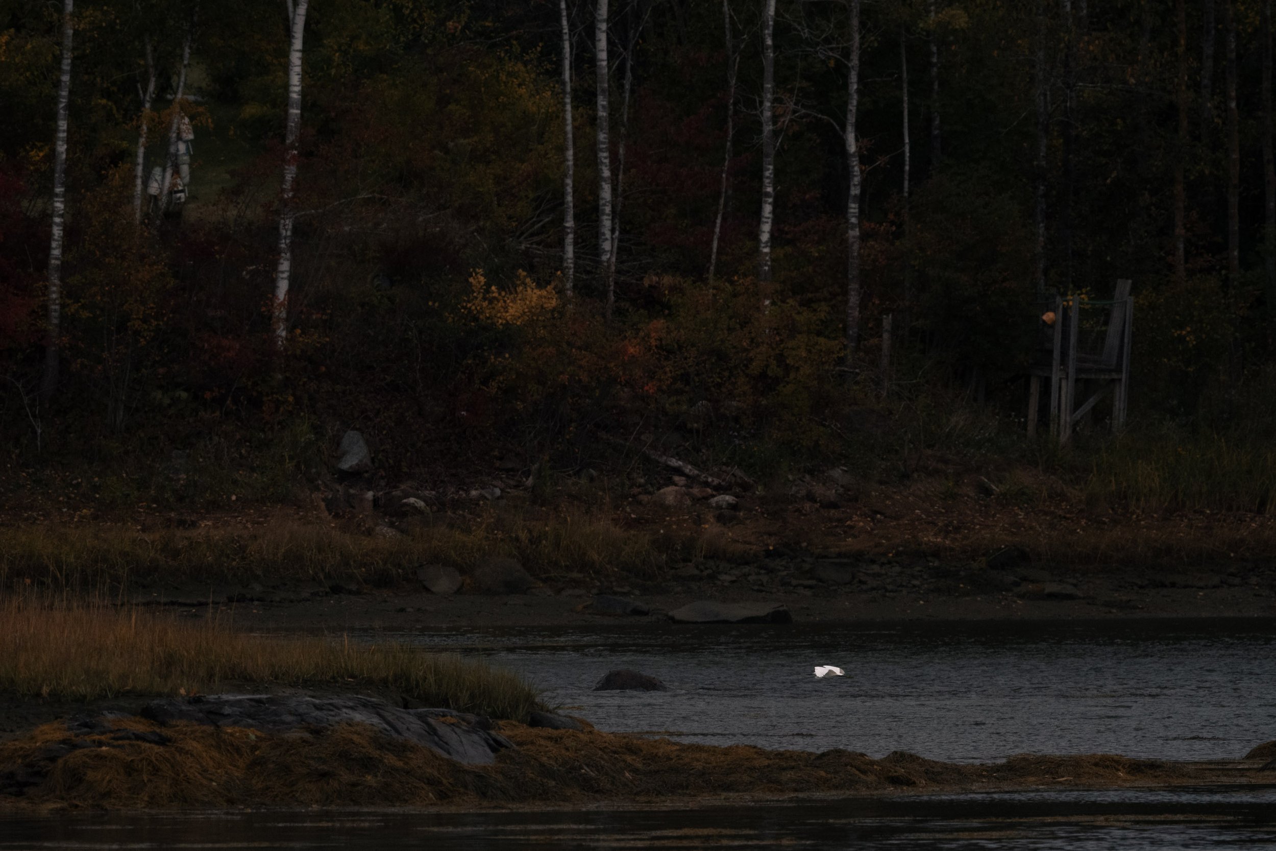 iliana-romanul-north-atlantic-autumn-tide-penobscot-bay.jpg