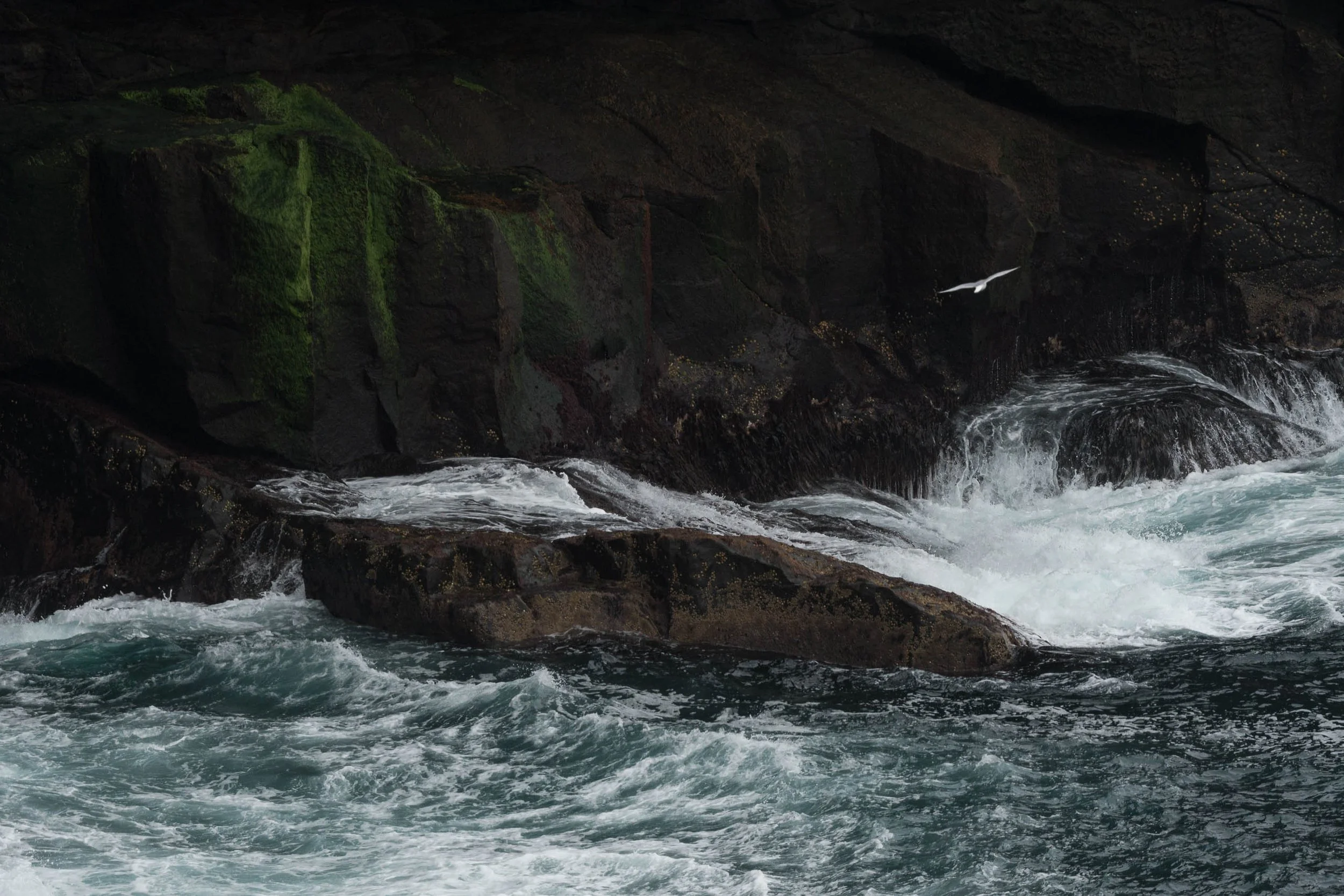 iliana-romanul-edge-north-atlantic-web.jpg