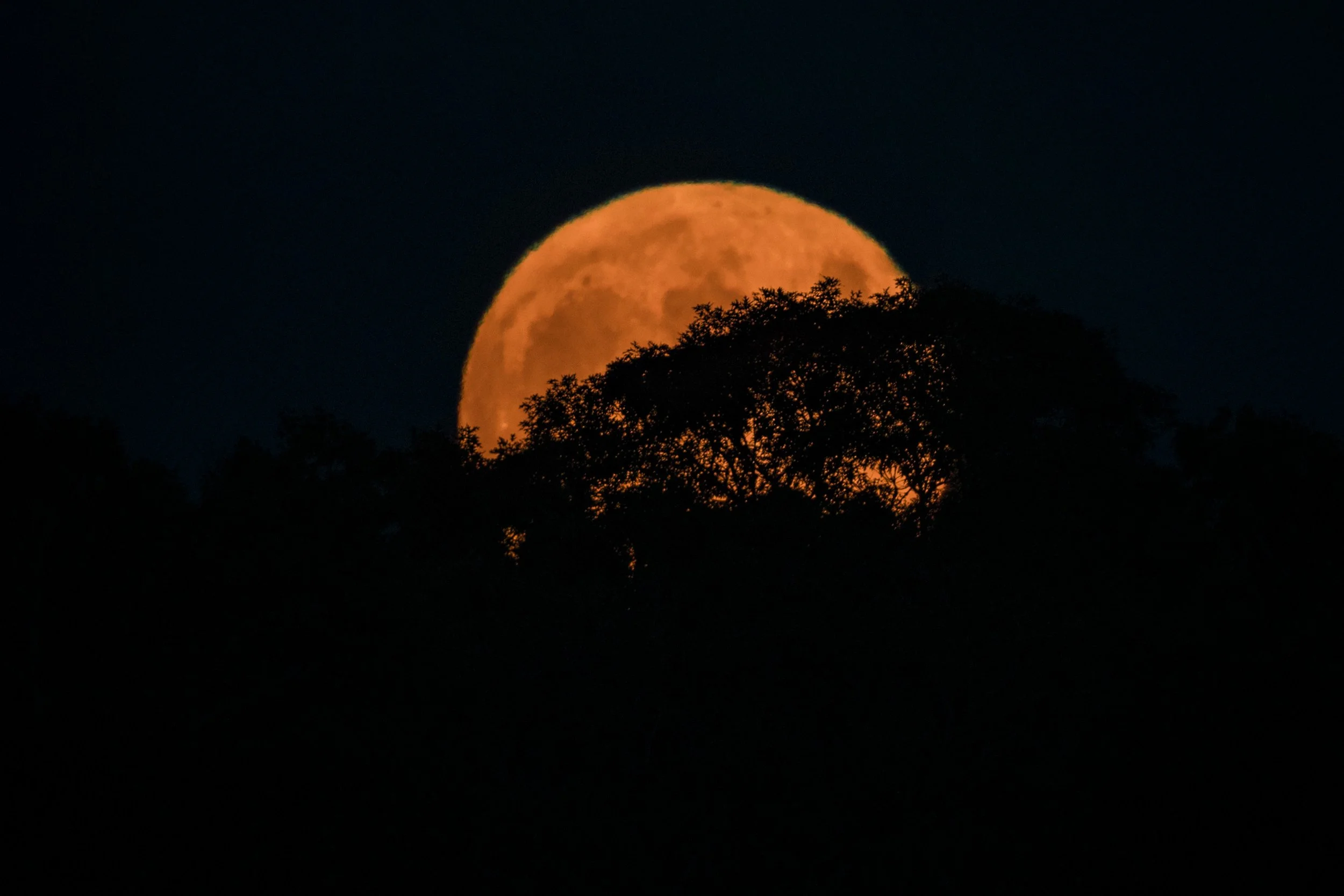 IlianaRomanul-Full-Harvest-Moon.jpg