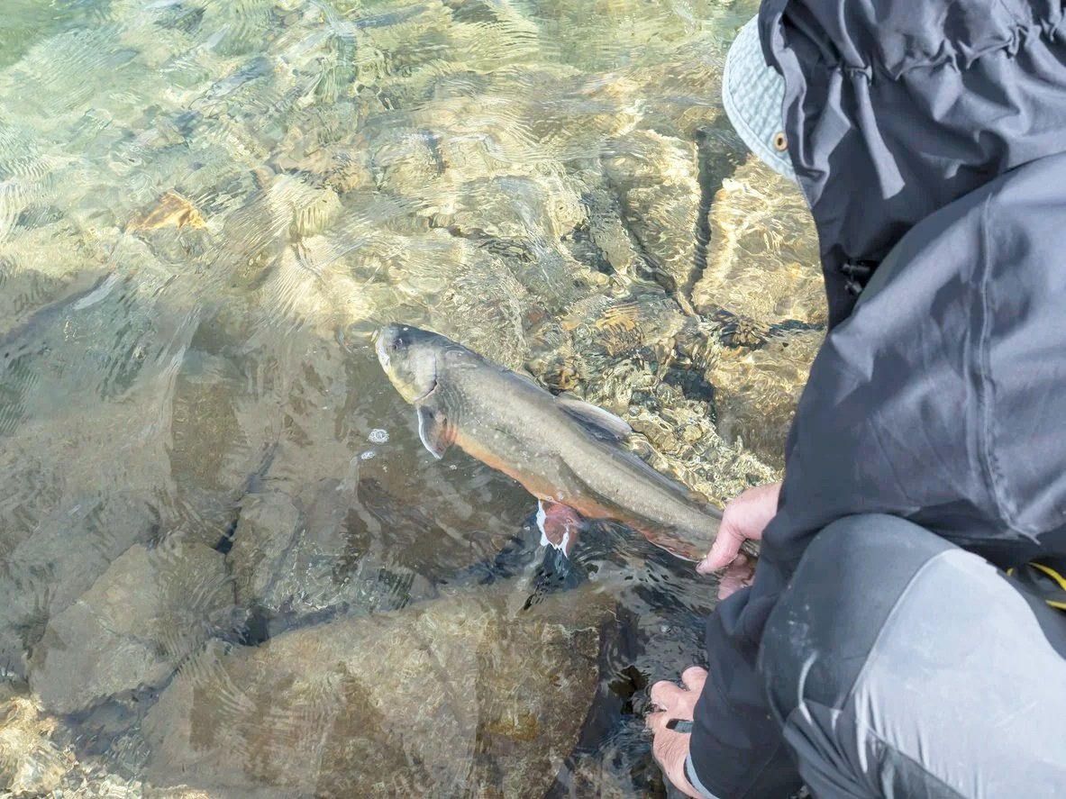 Fishing.jpg