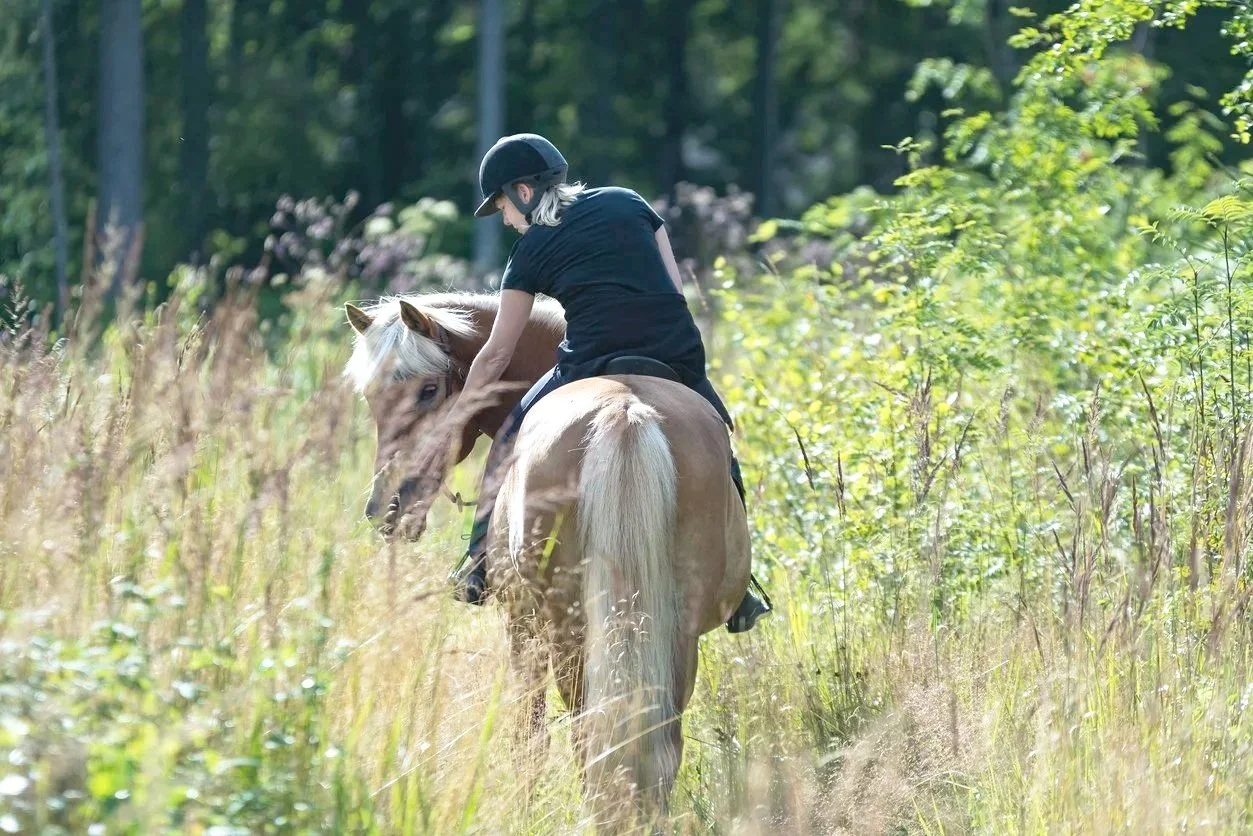 Horse+back.jpg