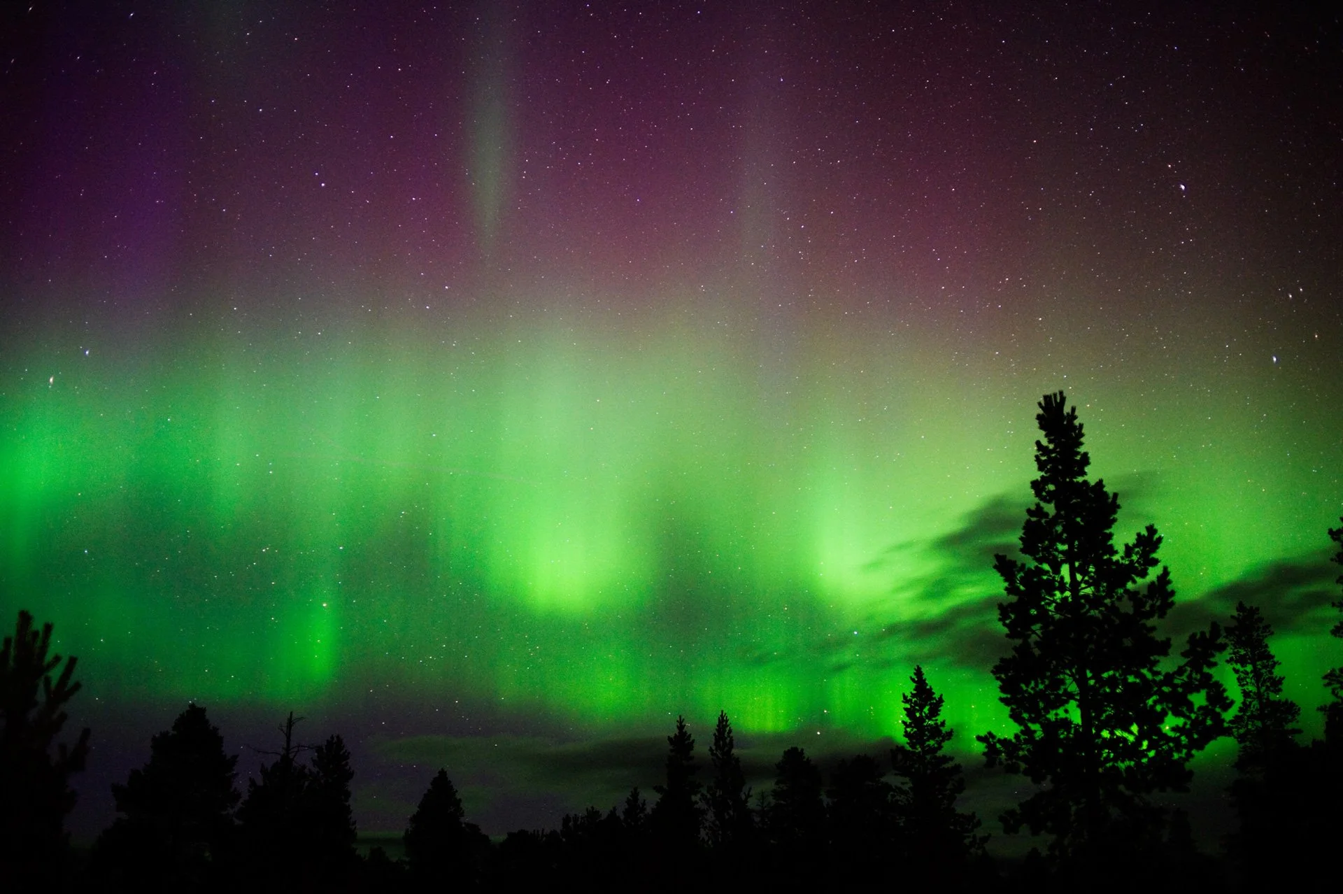 VALO_Borealis-3.jpg