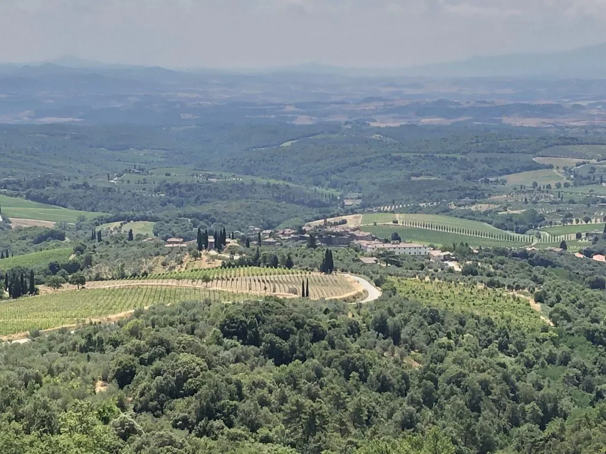 Tenuta-di-Arceno-1200x900.webp
