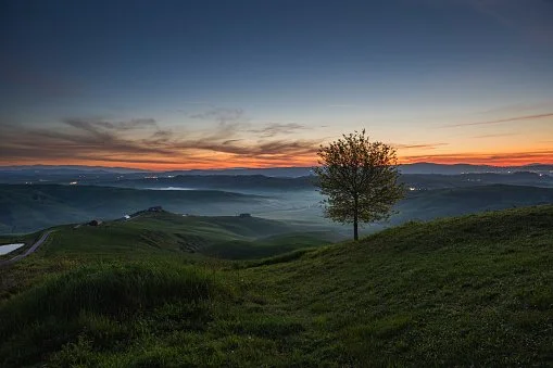 iStock-2235325517.jpg