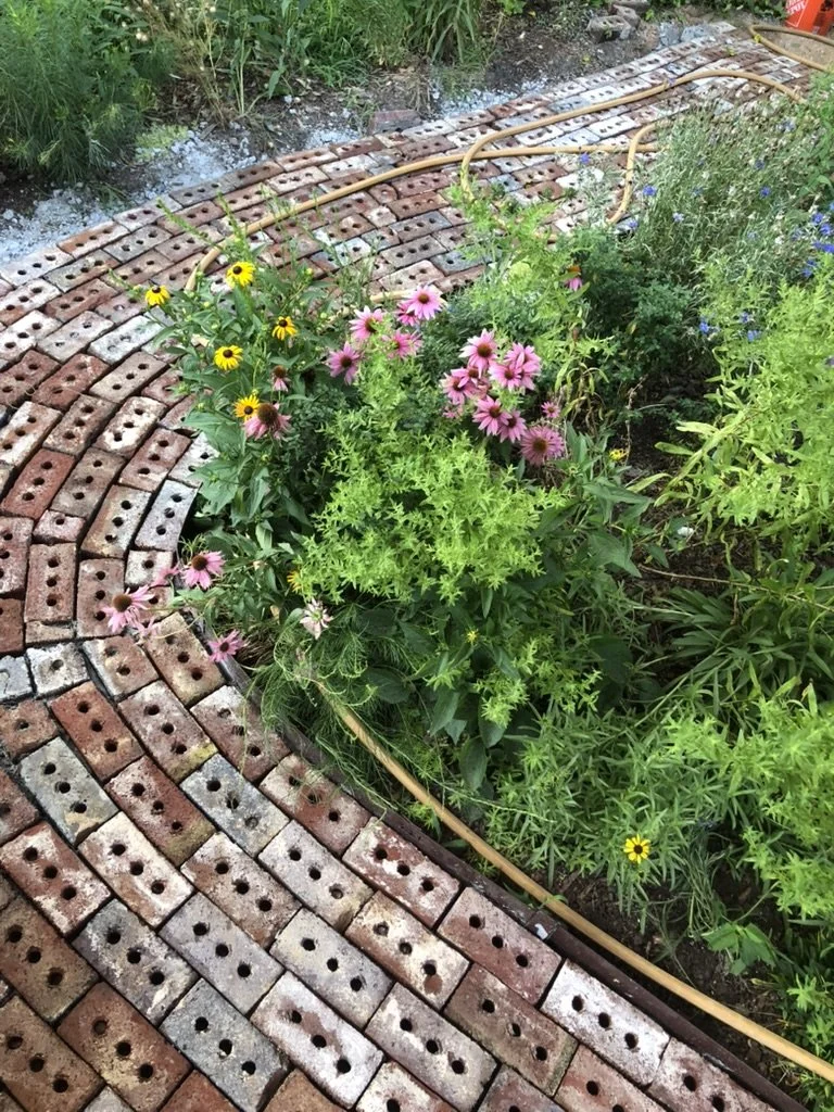 Brick Path in garden.jpeg