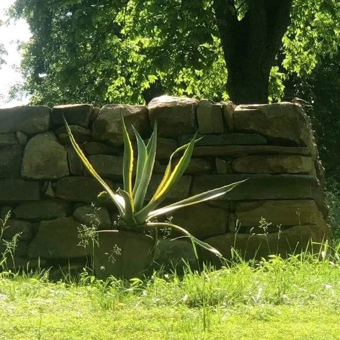 Dry stack wall completed.jpeg