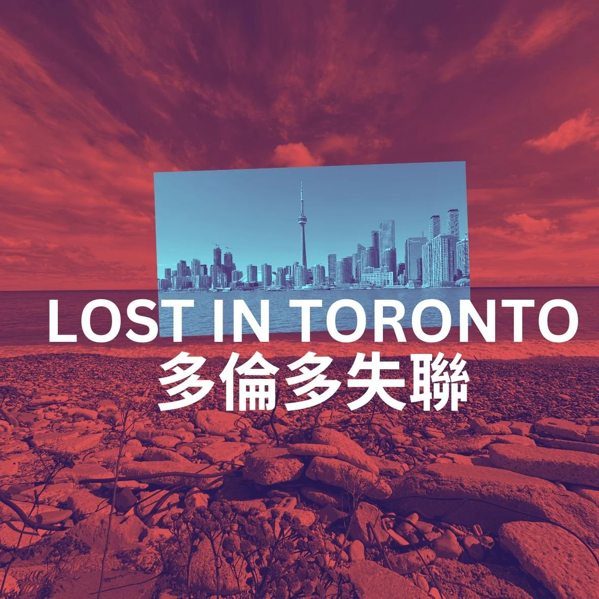 多倫多失聯.jpg