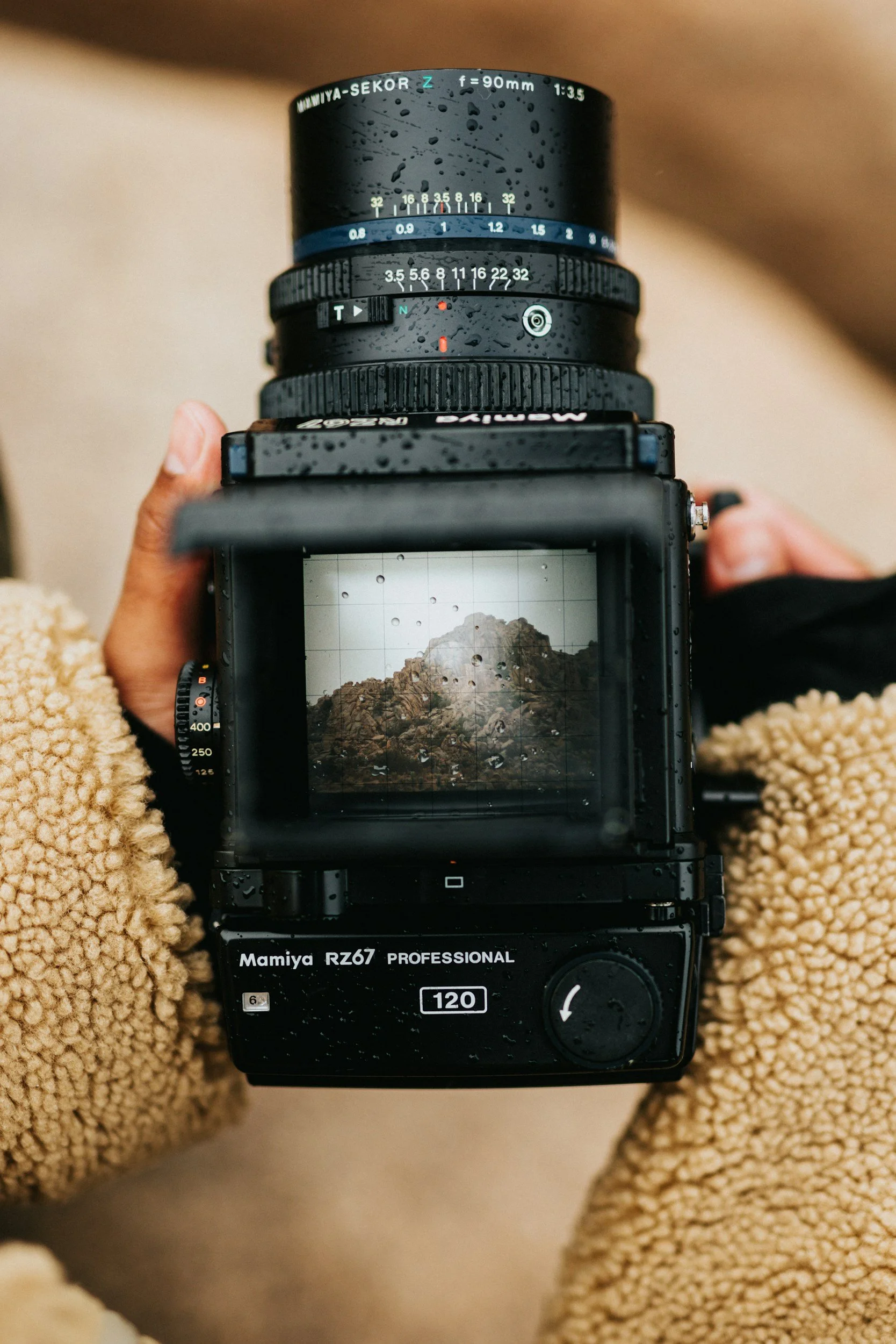 unsplash-image-p4TKmK4Egvg.jpg