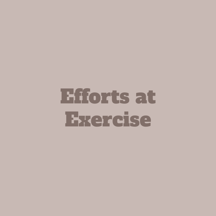       
  
    Efforts at Exercise  Lately, my parents and I have set a goal to become stronger. Or rather, I have made it a goal for my parents to go to the gym and exercise.&nbsp;  I dance around 10 hours per week (not including competitions, additi