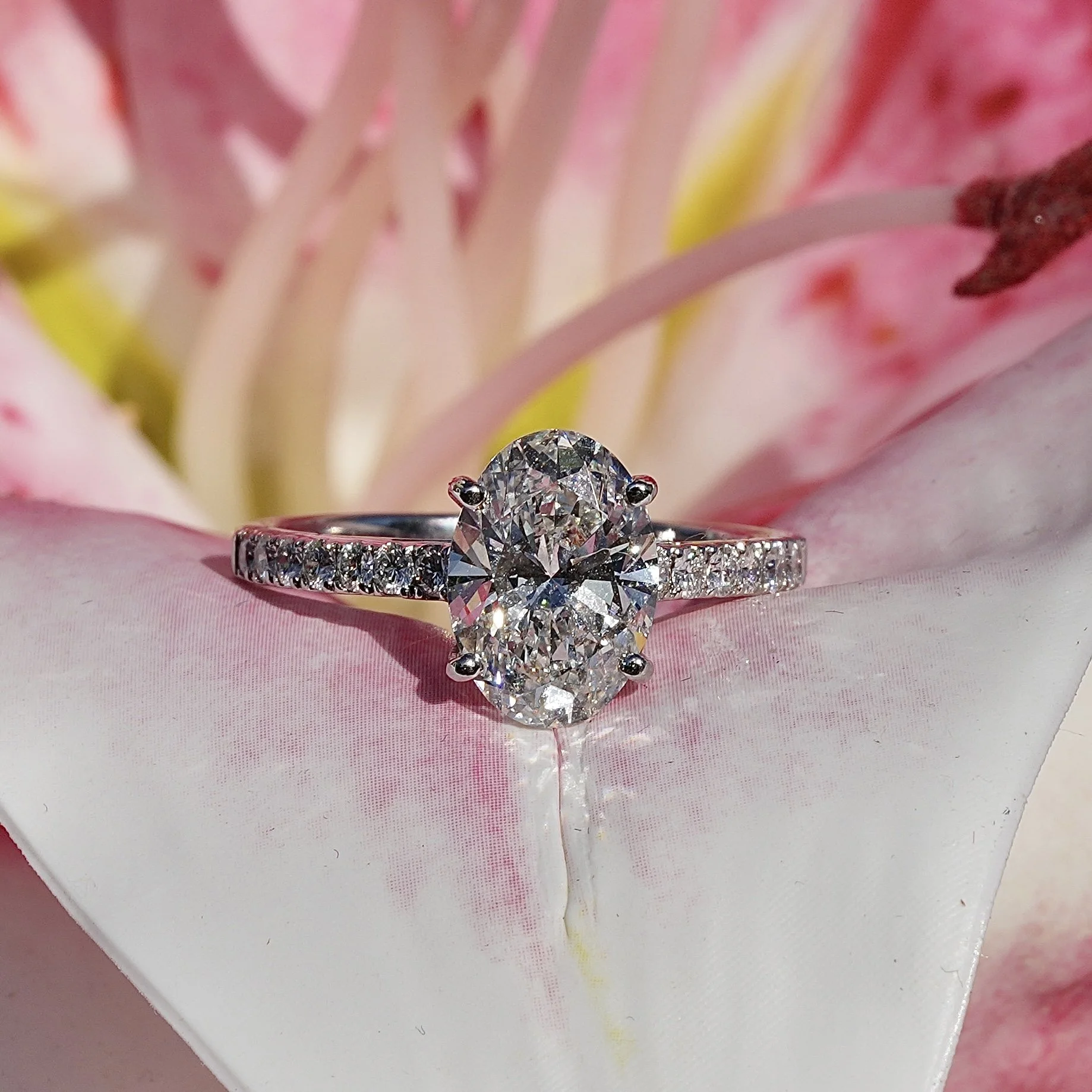 2ct Oval Cut Diamond Engagement Ring with Diamond Band in 18ct White Gold –Box View | Eighty8Diamonds