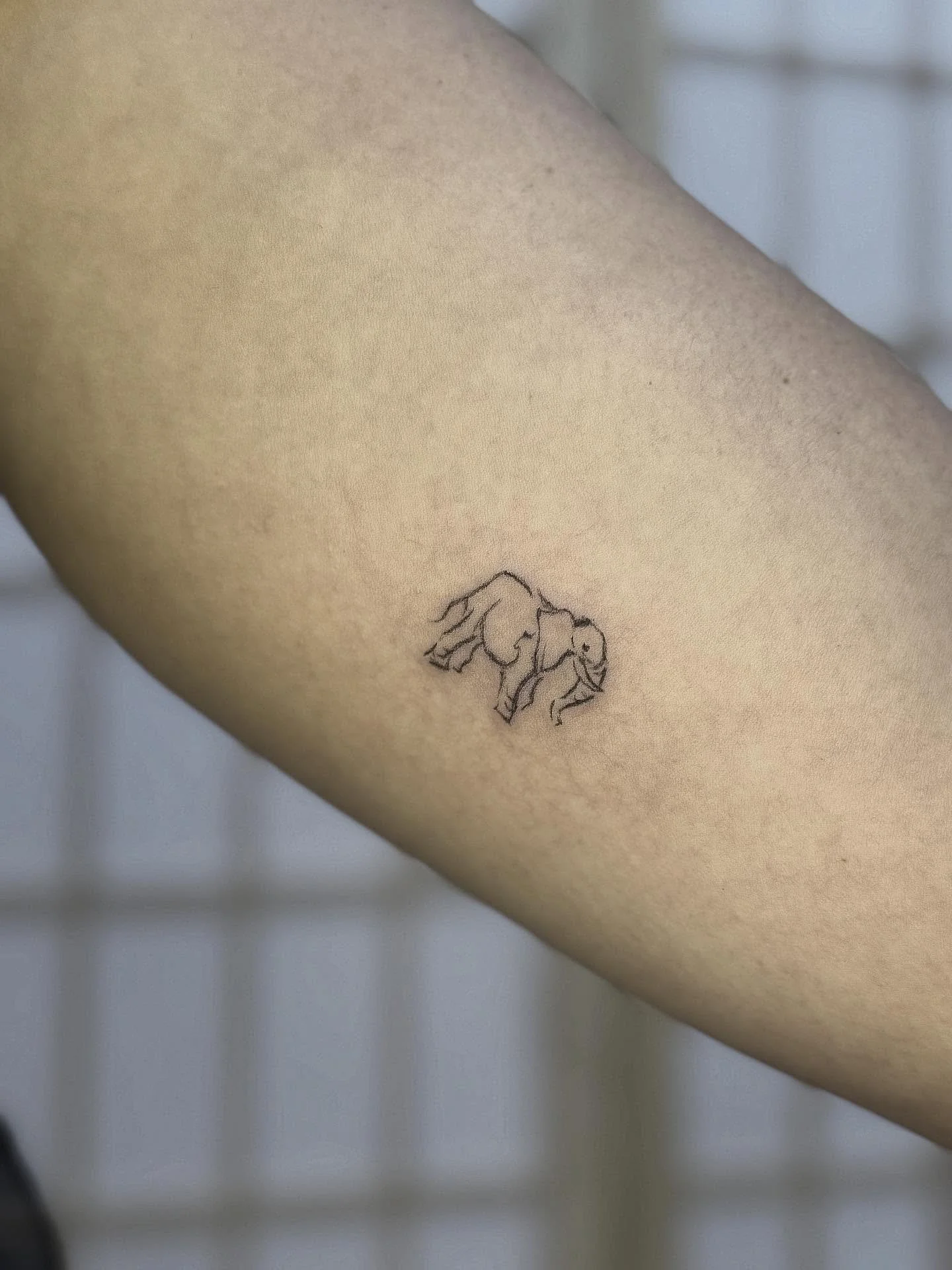 Teeny tiny elephant. Loved doing this one it was so small and cute!

#elephanttattoo #finelinetattoo #sketchtattoo #blackandgreytattoo #smalltattoo