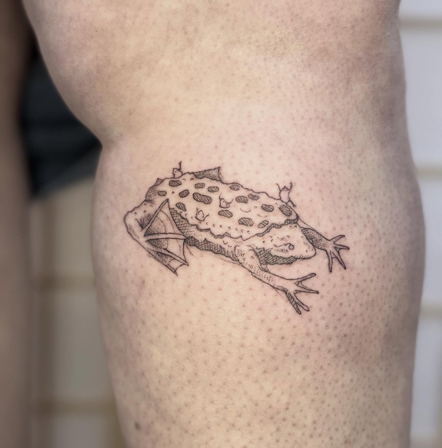 Surinam Toad! Not going to lie the reference pictures were hard to look at 😅 but so glad I stuck with it, look at those babies! Really looking forward to adding more frogs to this! Big project incoming! 

#frogtattoo #blackandgreytattoo #sketchtatto