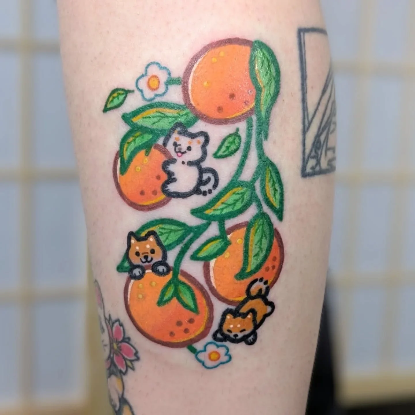 Shibas and oranges!!
We did a custom colour on the top one to represent my clients pooch ❤️.
I have a blueberry and lemon version of these available in my flash highlights! 

Sponsored by @magnumtattoosupplies 

#cutetattoo #kawaiitattoo #boldtattoo 