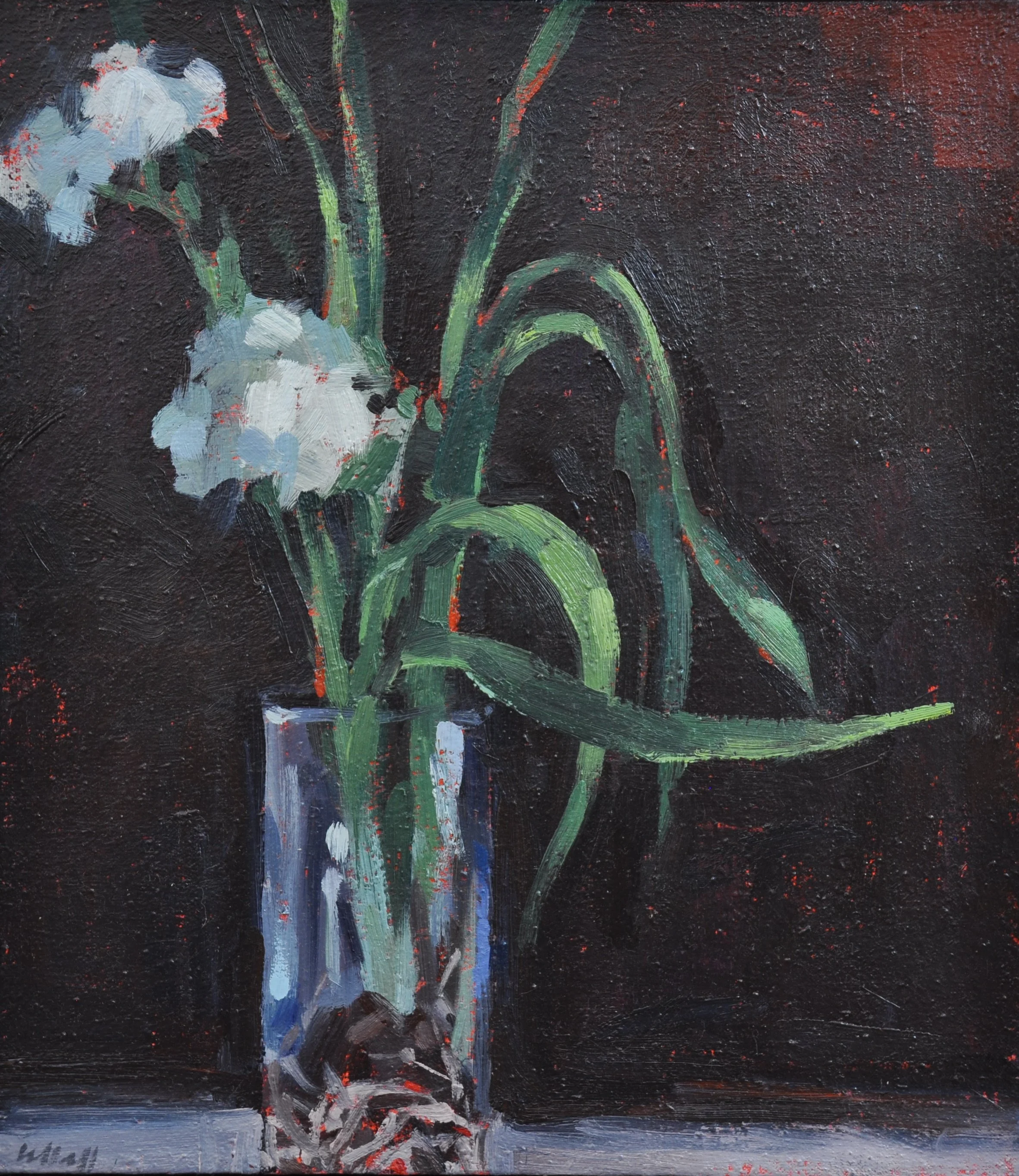 Paper Whites 14 x 16 $550